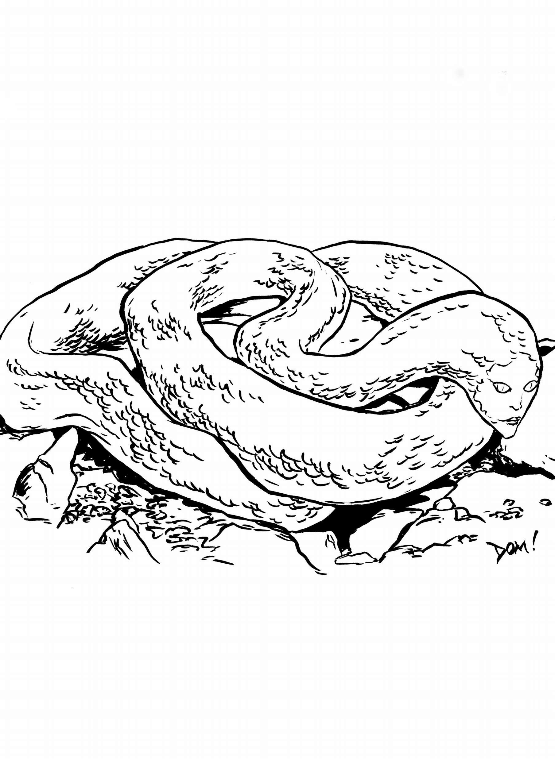 Naga