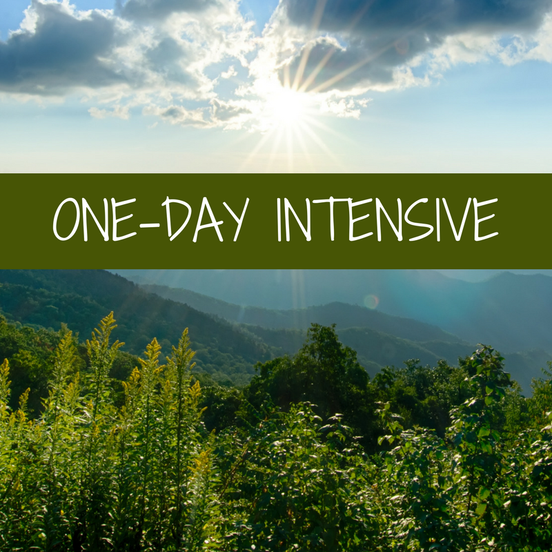 SIX MONTHCHIEF PROGRAM-3.png