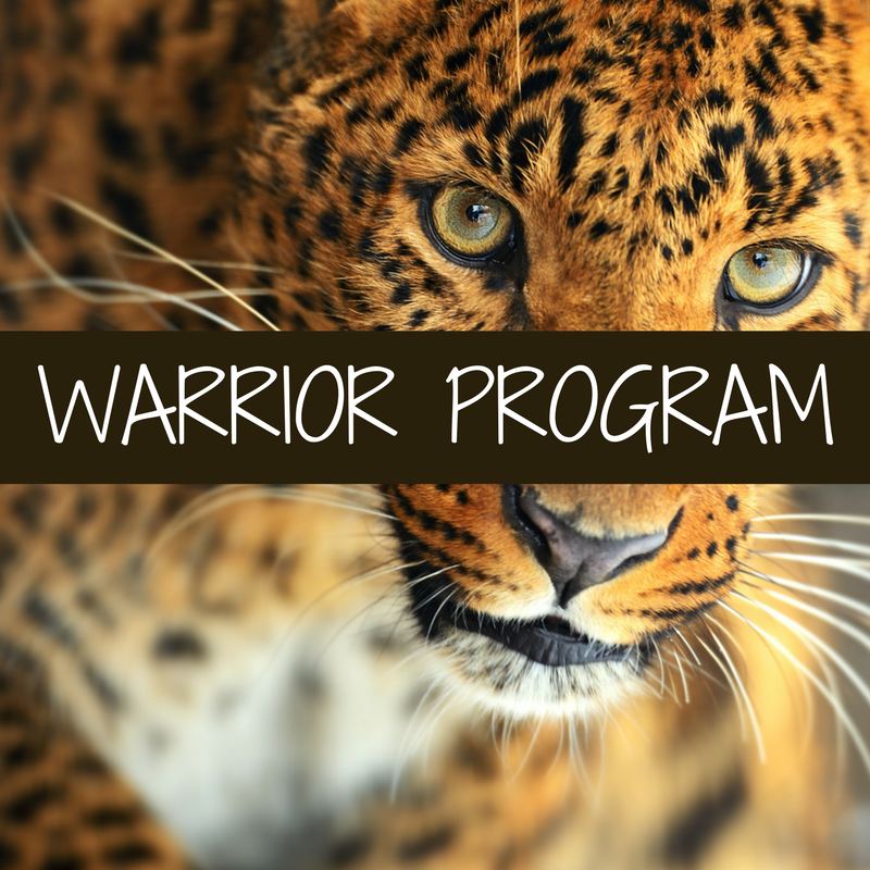 WARRIOR PROGRAM-2.png