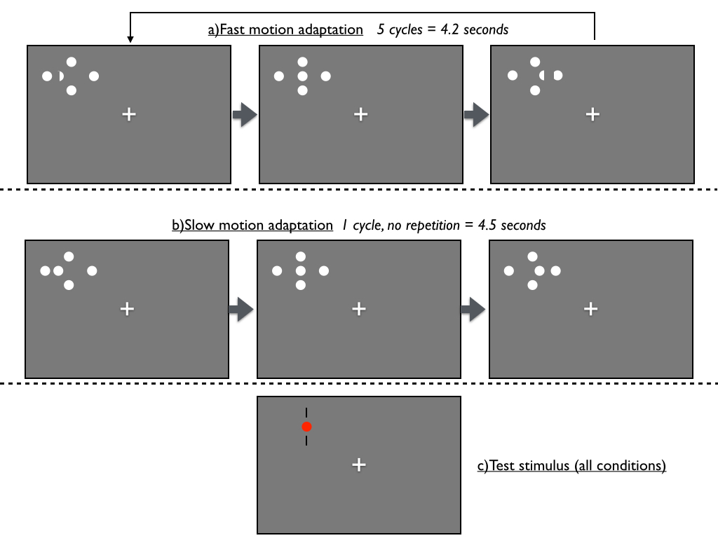 Figures for Web_MaETAl.008.jpg