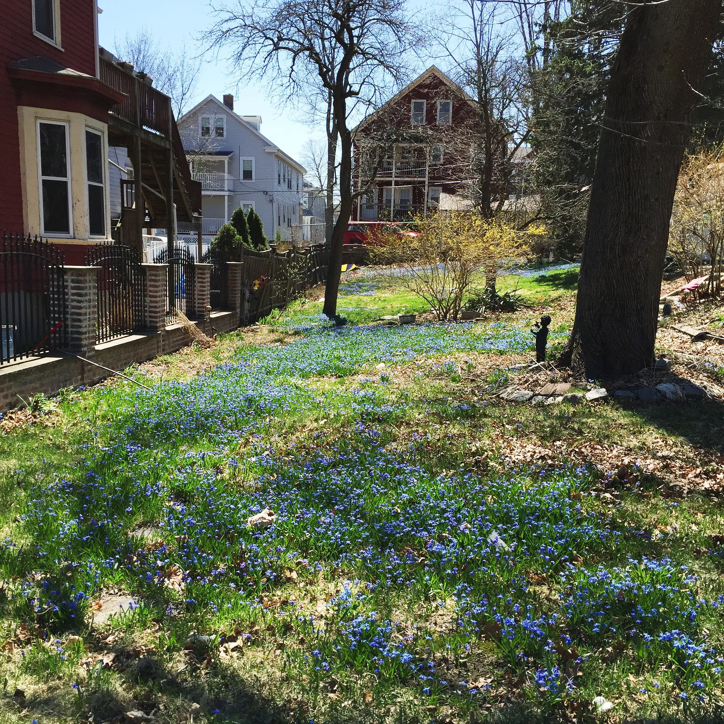 Jamaica Plain, MA, USA