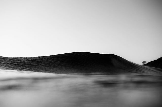 Chasing waves.

Photo Credit: Woody Gooch