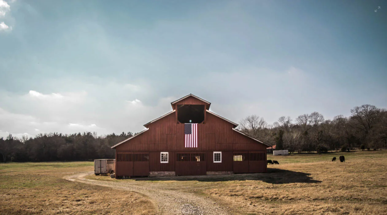 Valbridge - order form background.jpg