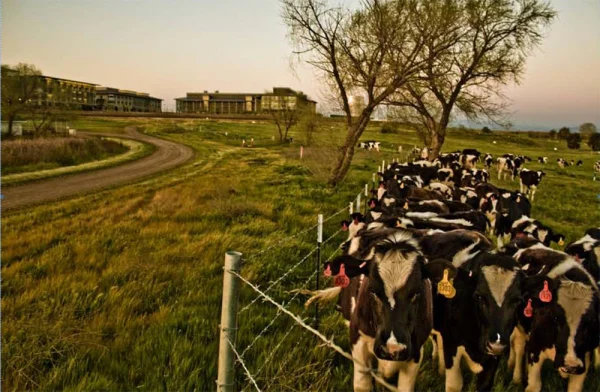 Photo courtesy of UC Merced student Joseph Ng.