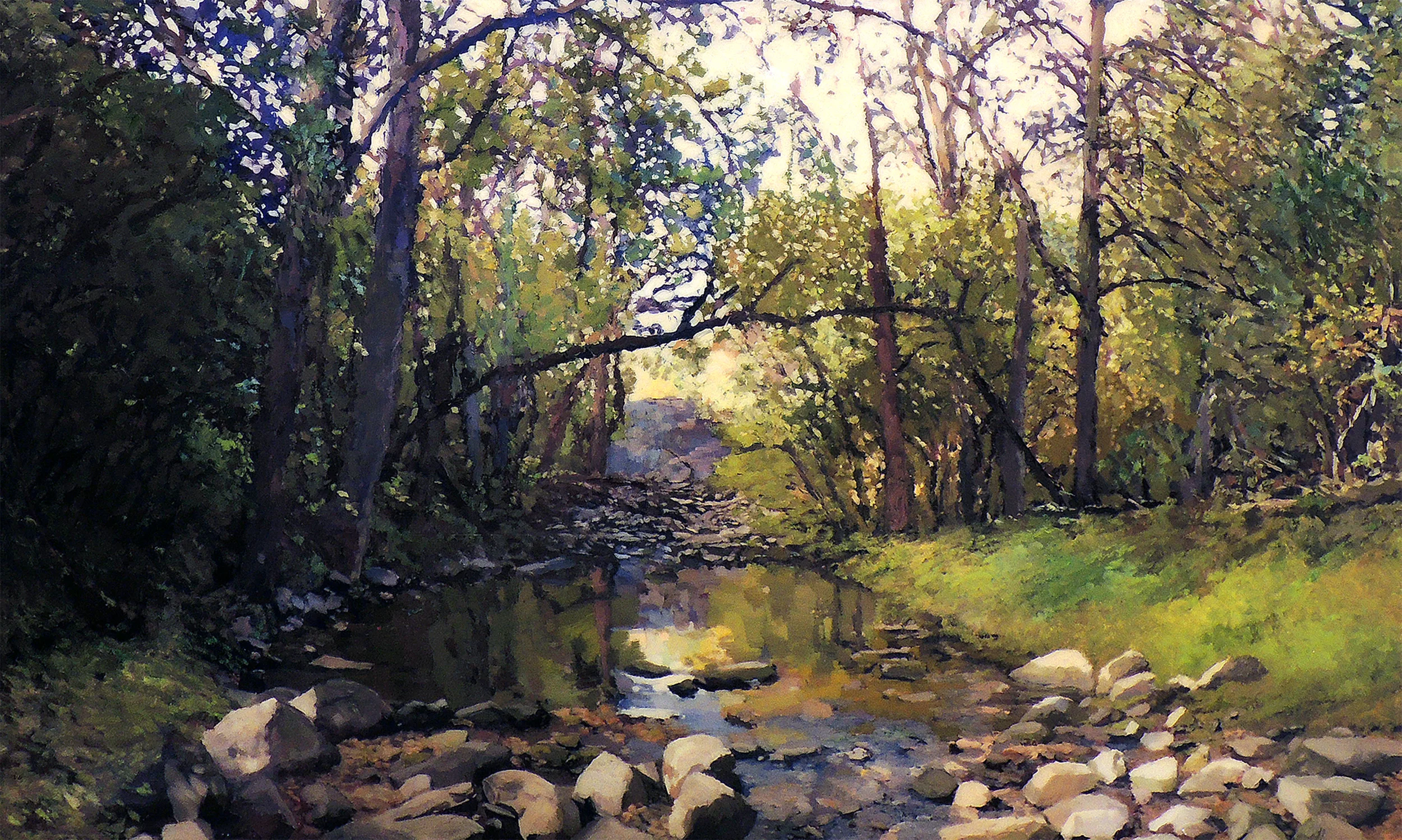Beyond the Rocks and Water.jpg