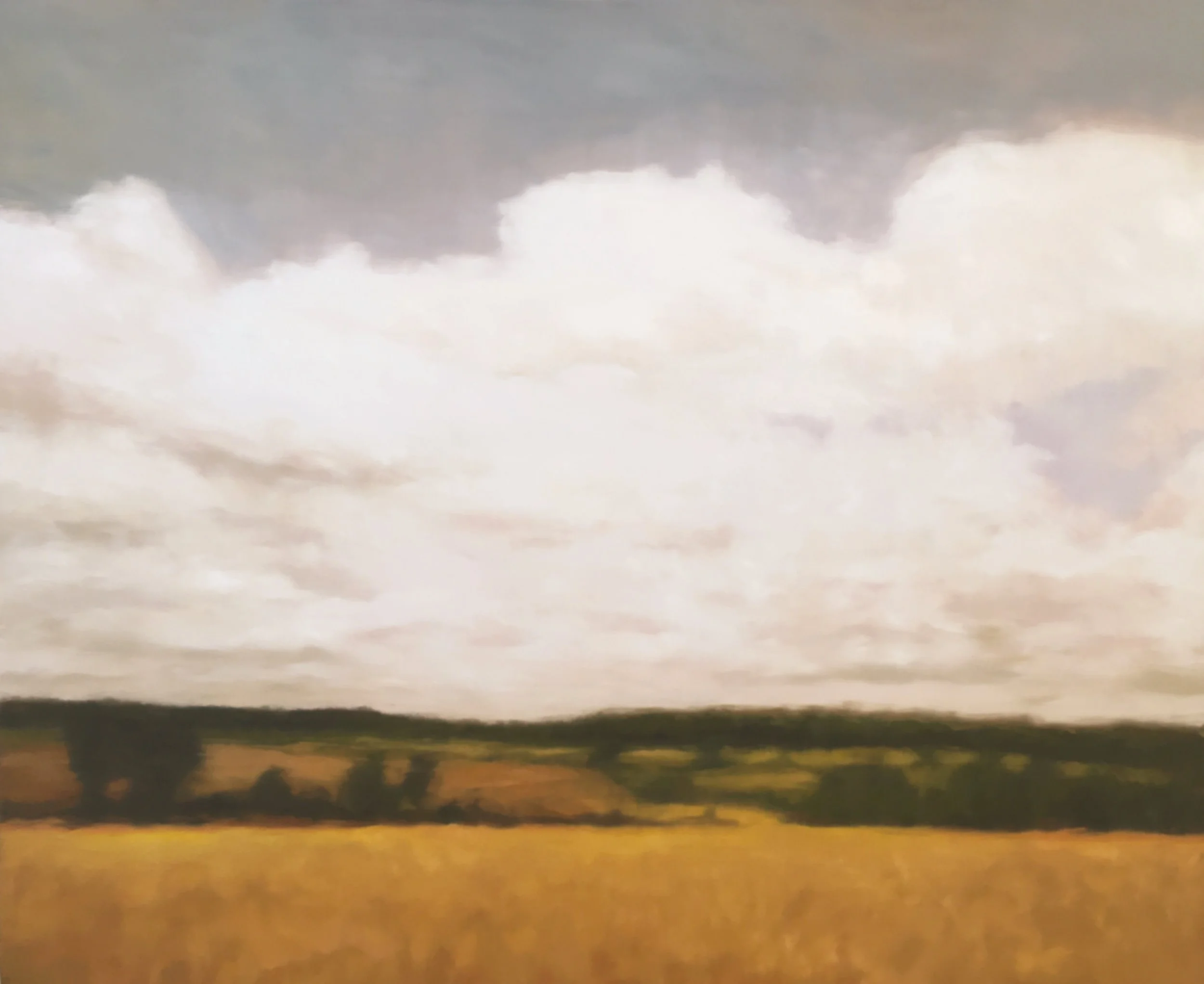  OIL ON PANEL 44x36  2019 