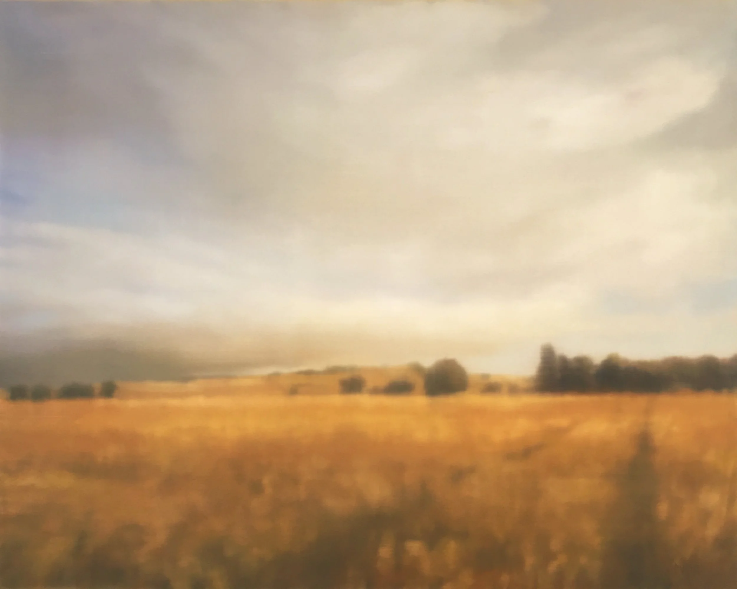  OIL ON PANEL 45x36  2019 