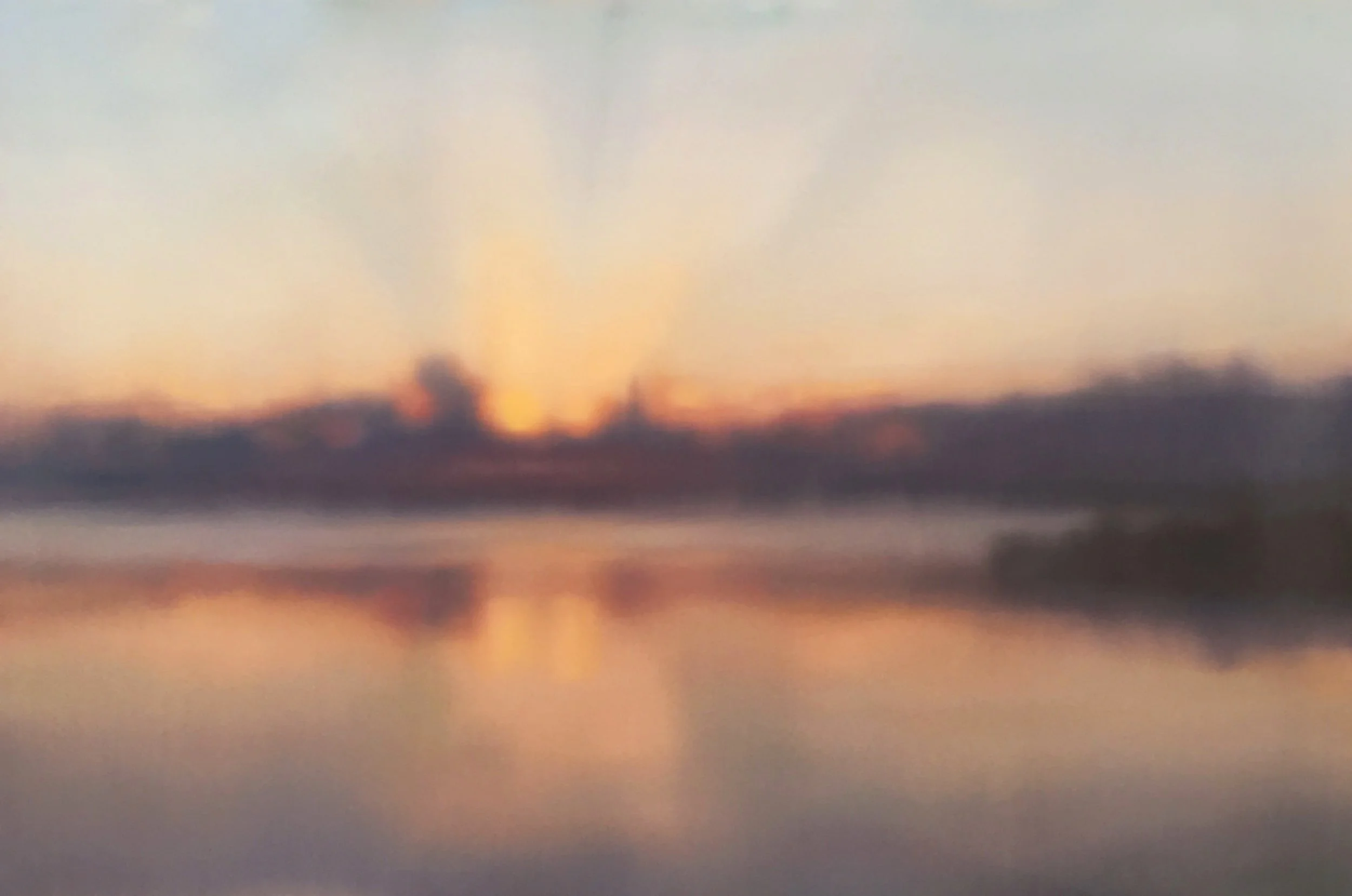  OIL ON PANEL 24x16  2019 