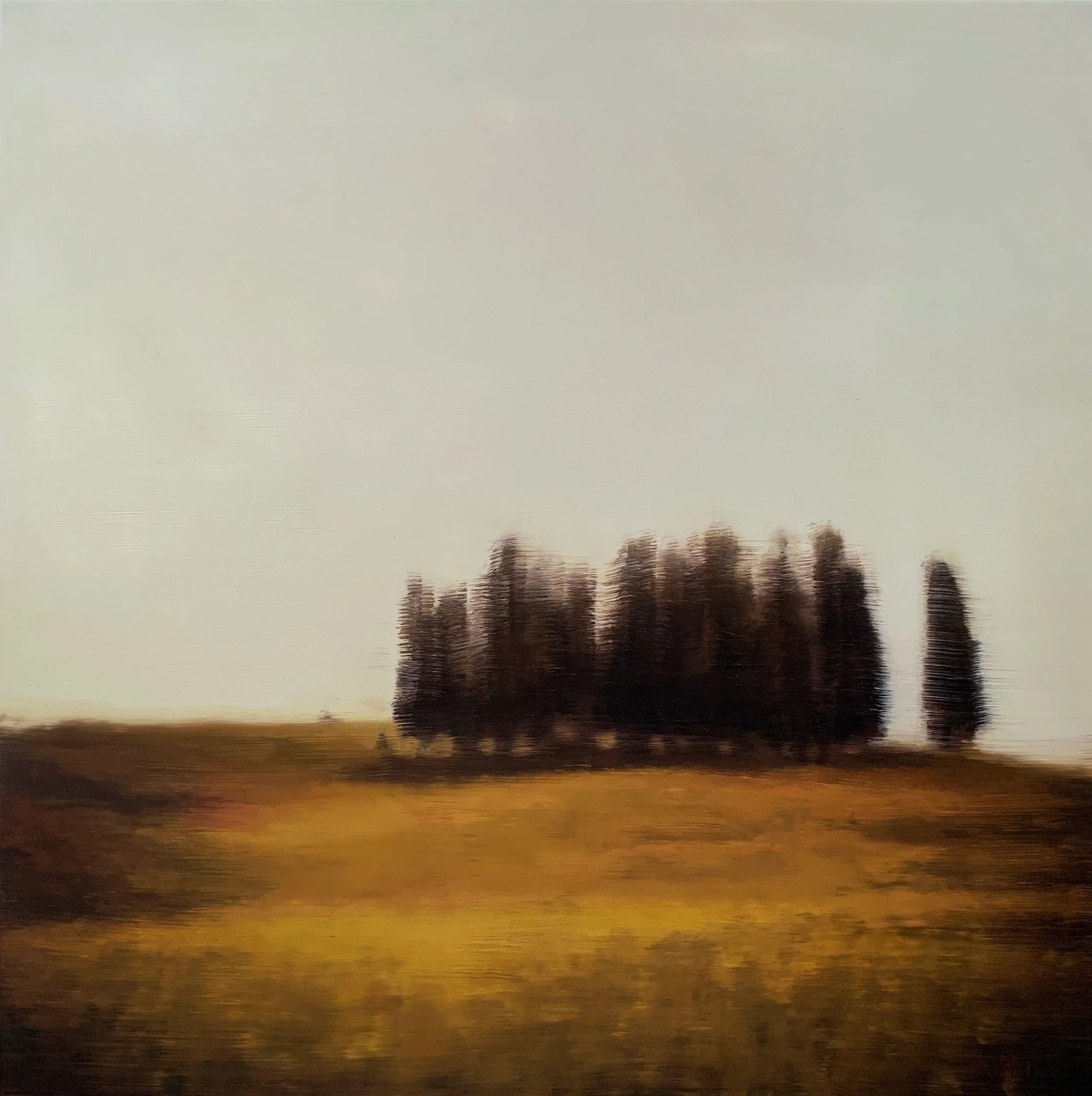 2B4BA45D-DD1A-4EA6-90E2-BF1699F13403.jpeg
