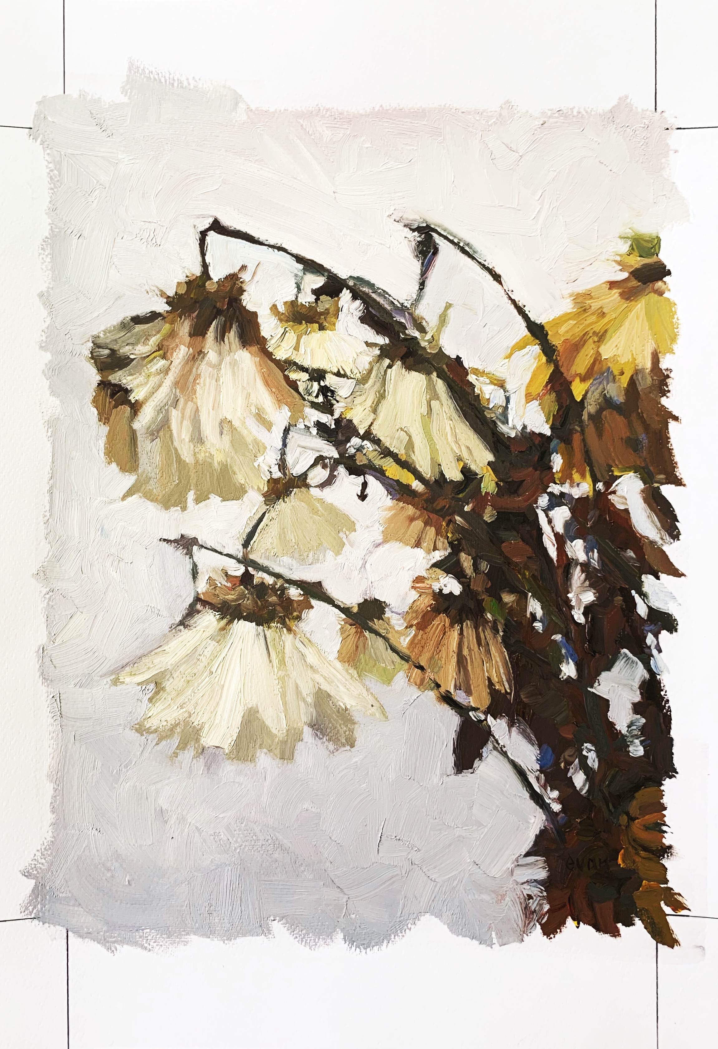 There is something beautiful about the inherent fragility and delicacy of a painting on paper. The consideration of surface qualities such as these have been of particular interest in my exploration of impermanence and fragility. I am especially fond of the personal quality these works exude and the feeling of truthfulness on the fringe. These paintings are done on an elegant bright white textured surface that is acid free and made of cotton fiber.