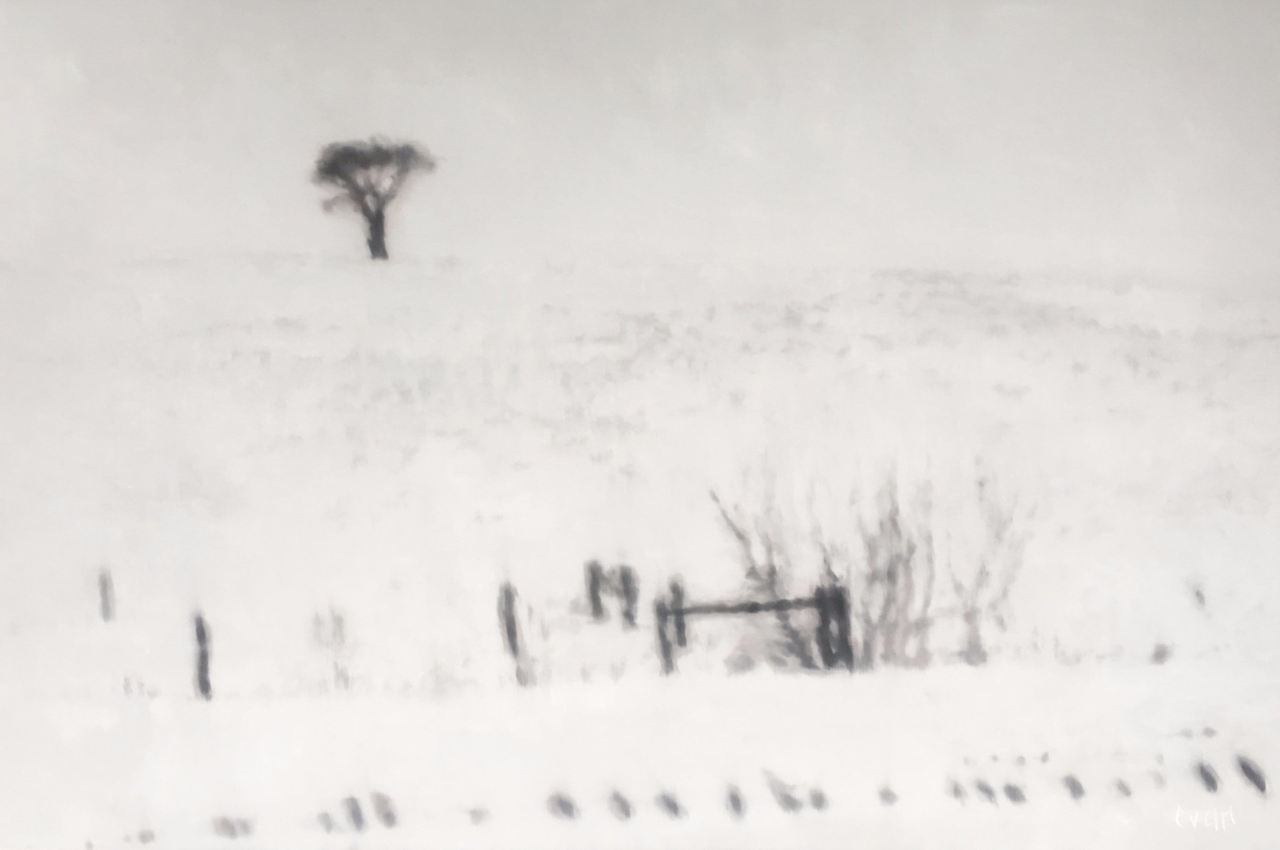 EEC61F6E-3336-4F5F-AF31-4A7149D9FAE8.jpg