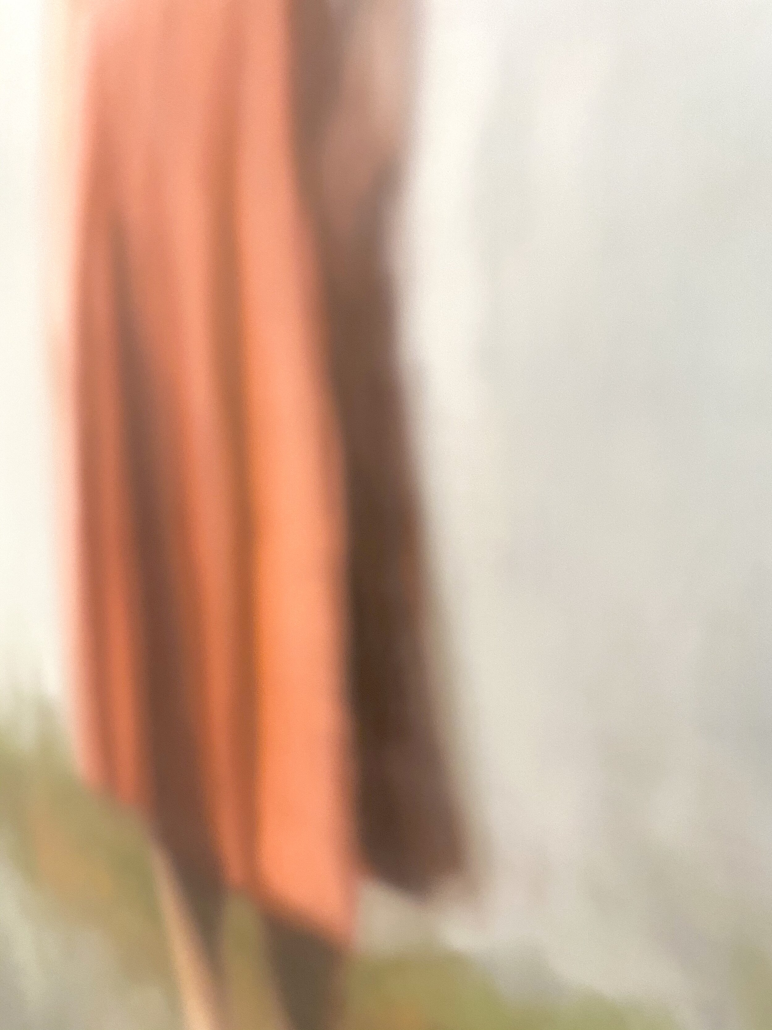 C624AB49-854D-49EC-9BB6-C7917E0A7299.jpeg