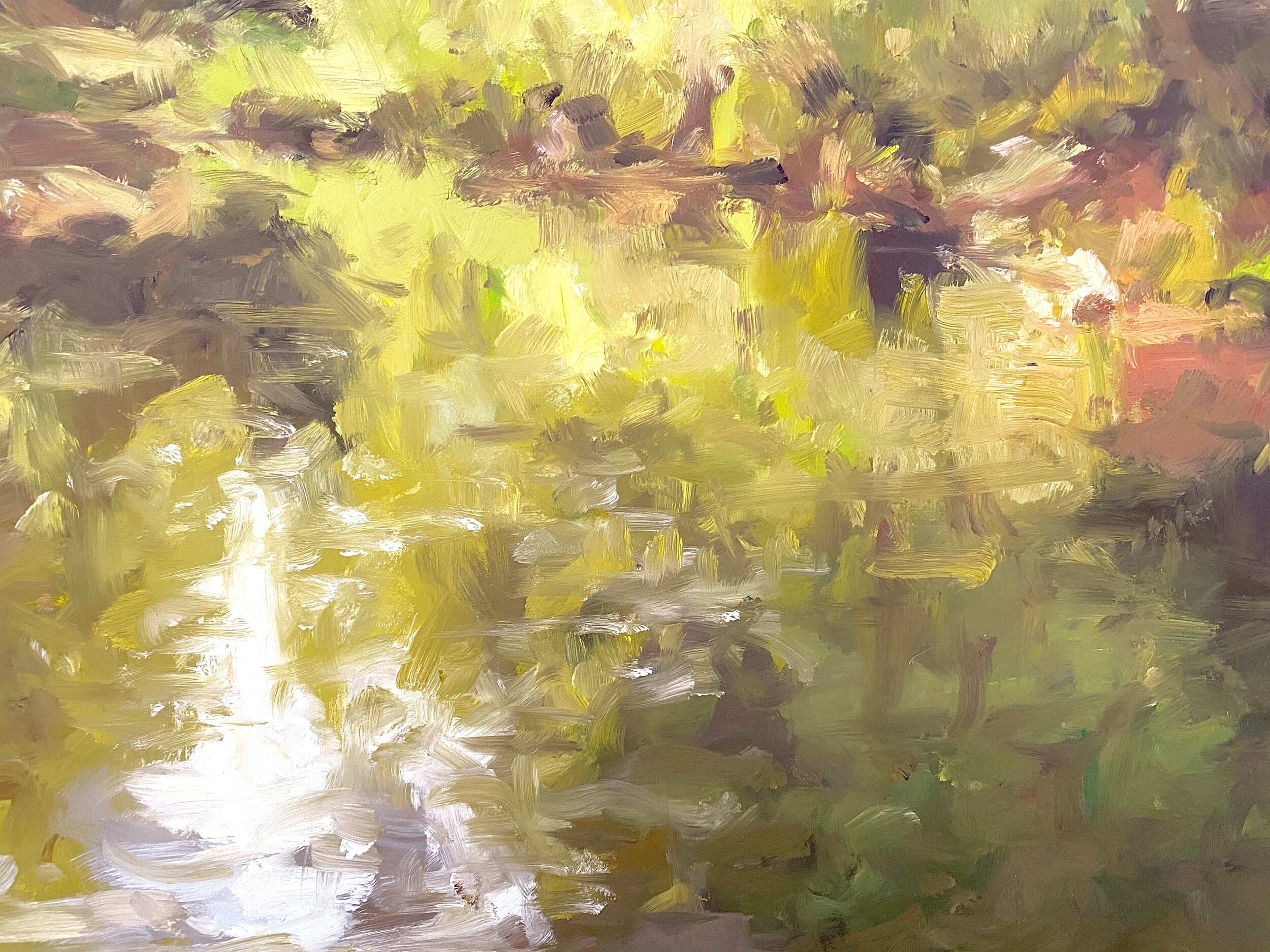 D4FE03C1-F203-49FA-A7E5-865891C5170F.jpeg