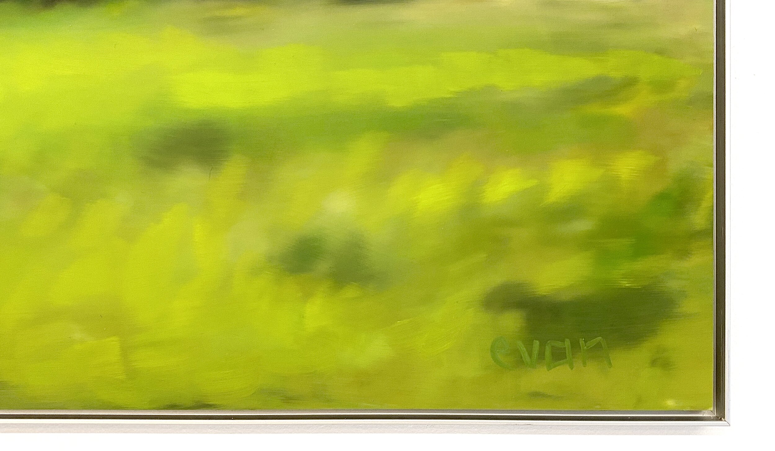 6F59E230-496B-4F13-A247-5D57083B3CA2.jpeg