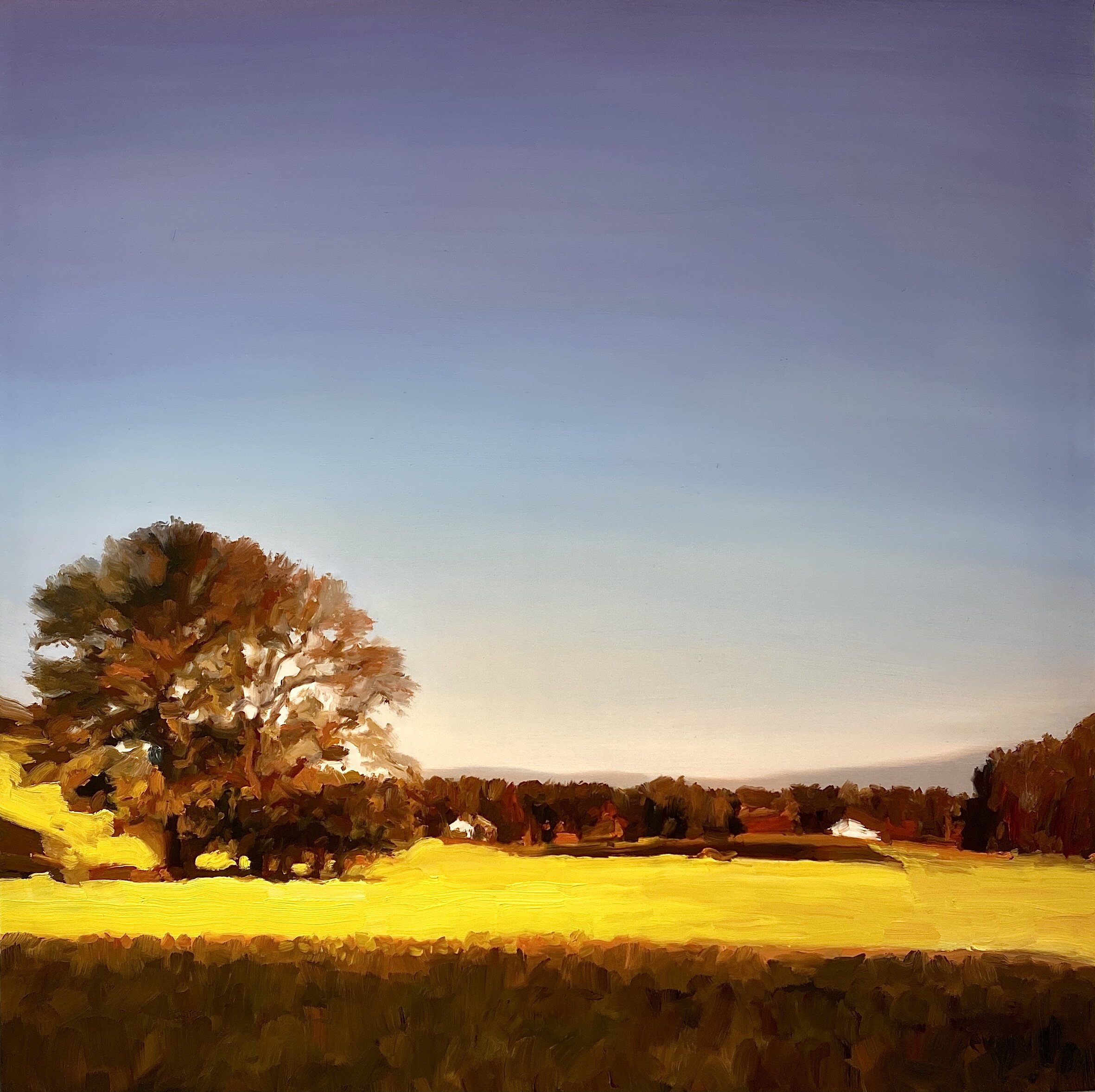 91A13126-854C-422D-918C-EF685F7699A8.jpeg