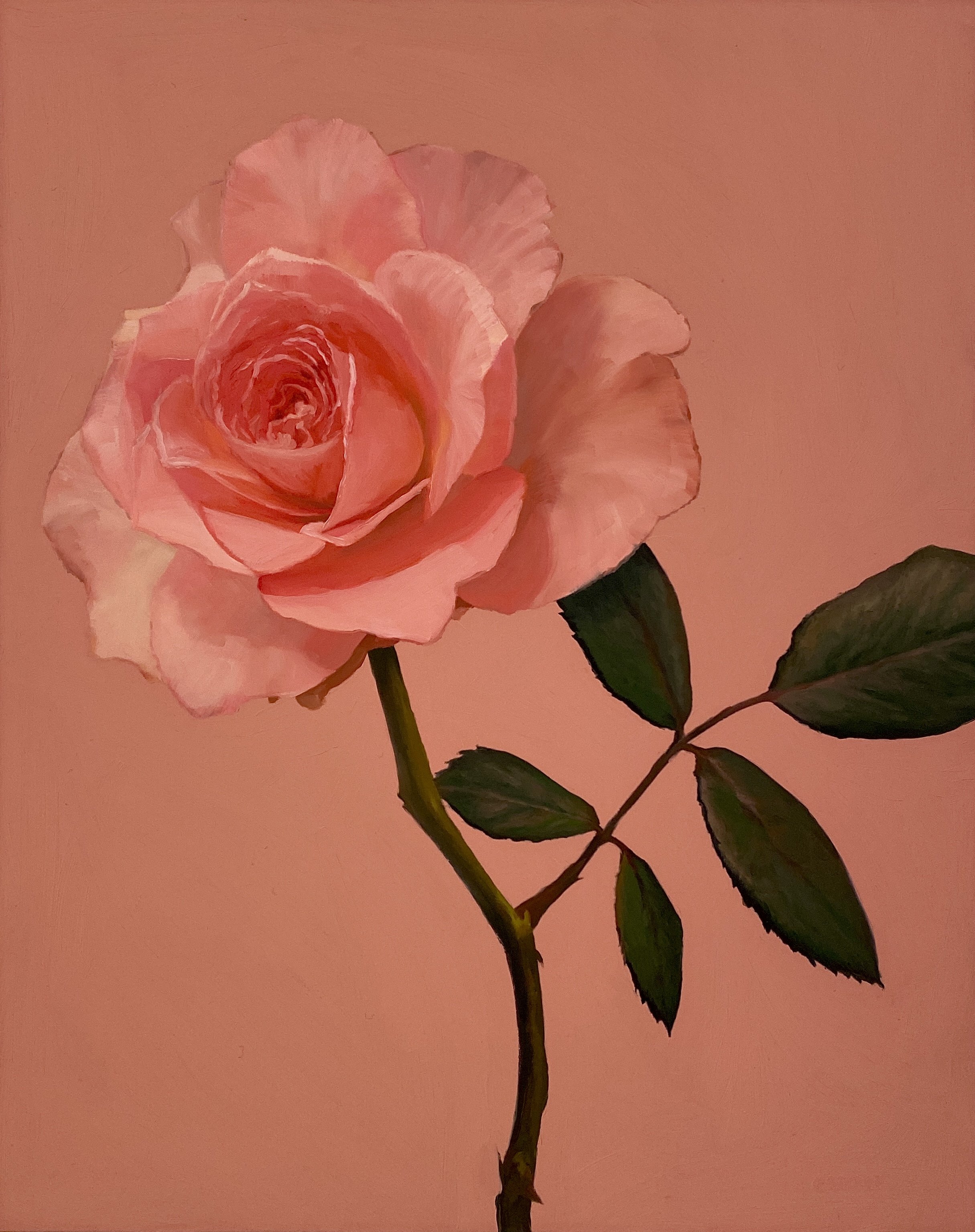 BEF5DDB6-B16F-425D-895D-204D3D93ADEB.jpeg