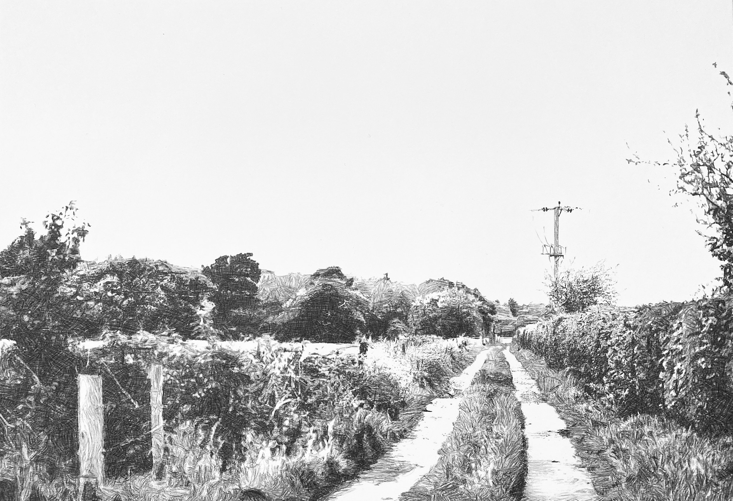 C3AE3964-4814-4CBB-86DB-E9D2E62AE20C.jpeg