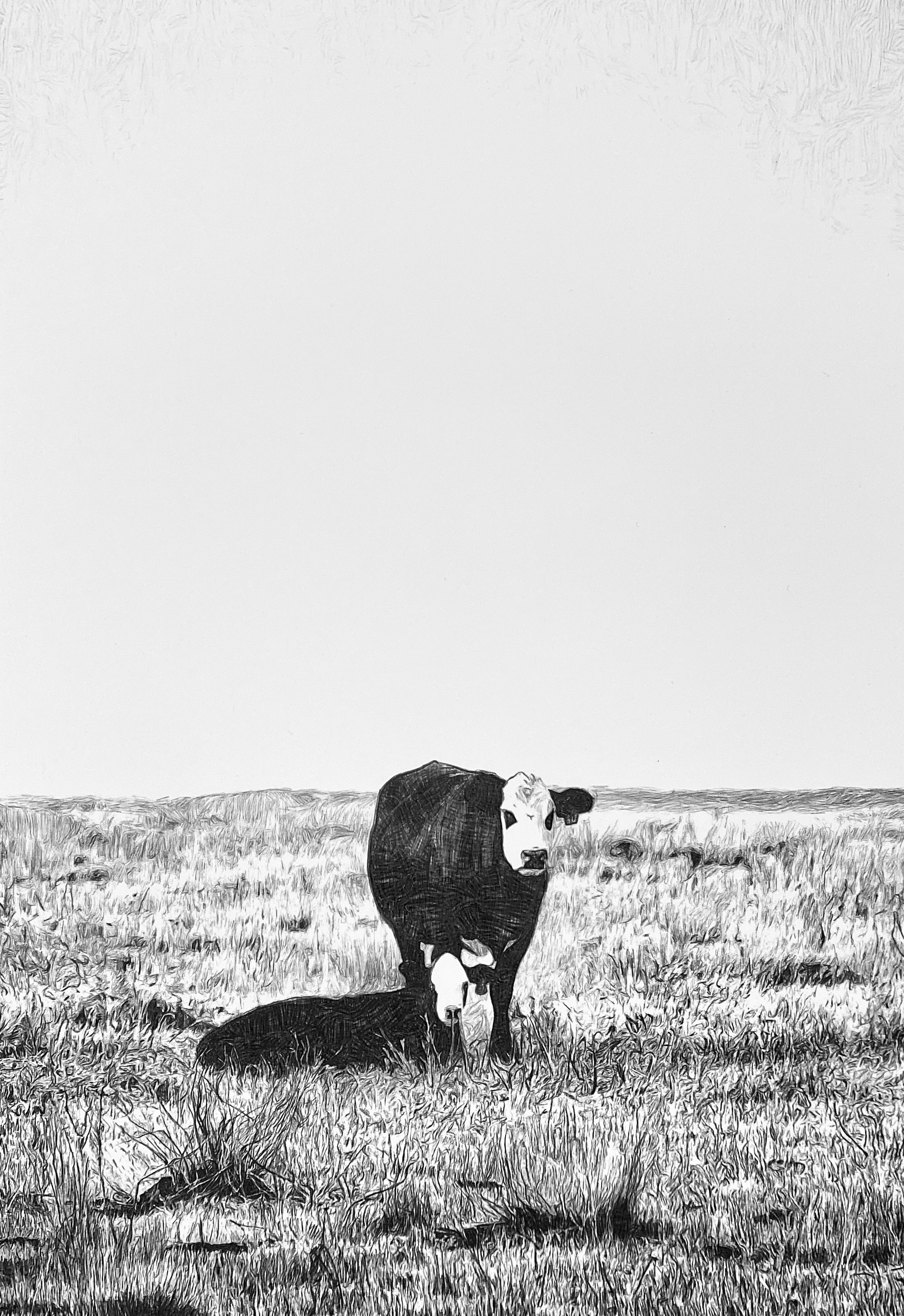 3C0677E0-7351-4494-AA85-A73081165062.jpeg