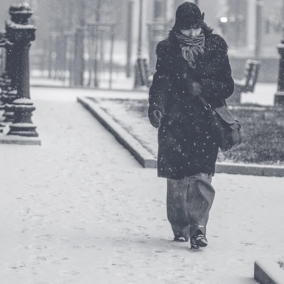 blizzard-1245929_1920.jpg