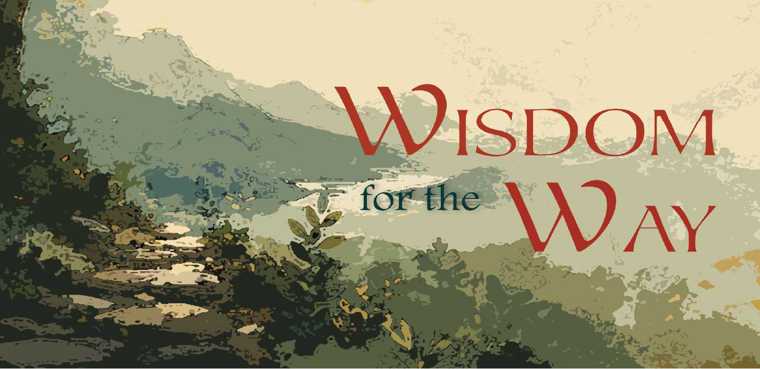web banner.png