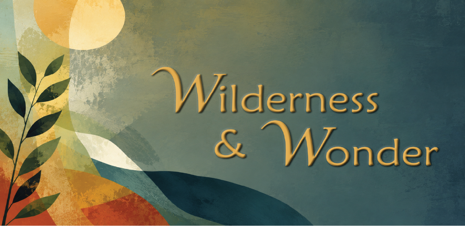 ww web banner.png