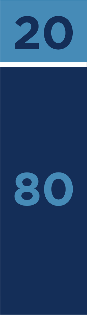 80-20-pareto-principle