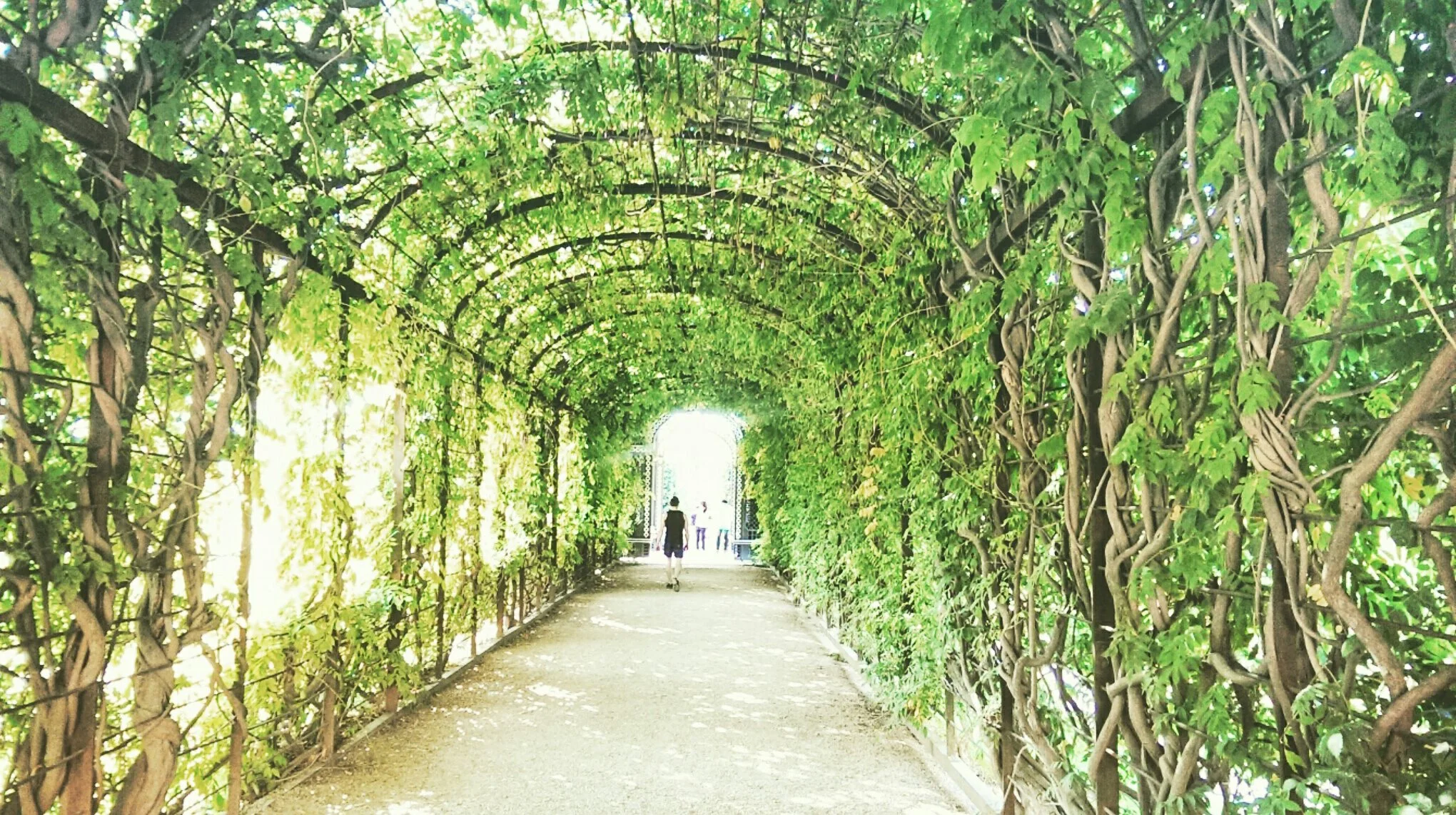 Eastern Europe / The beginning of the end of the beginning.