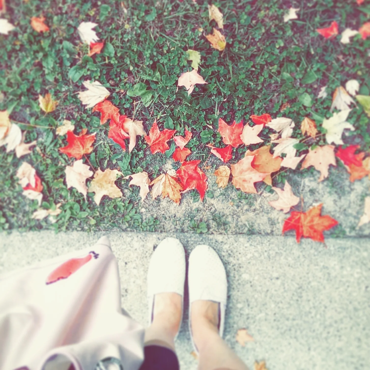 Chapter 1: About Cornfields and a New Start 關於玉米田的第一章