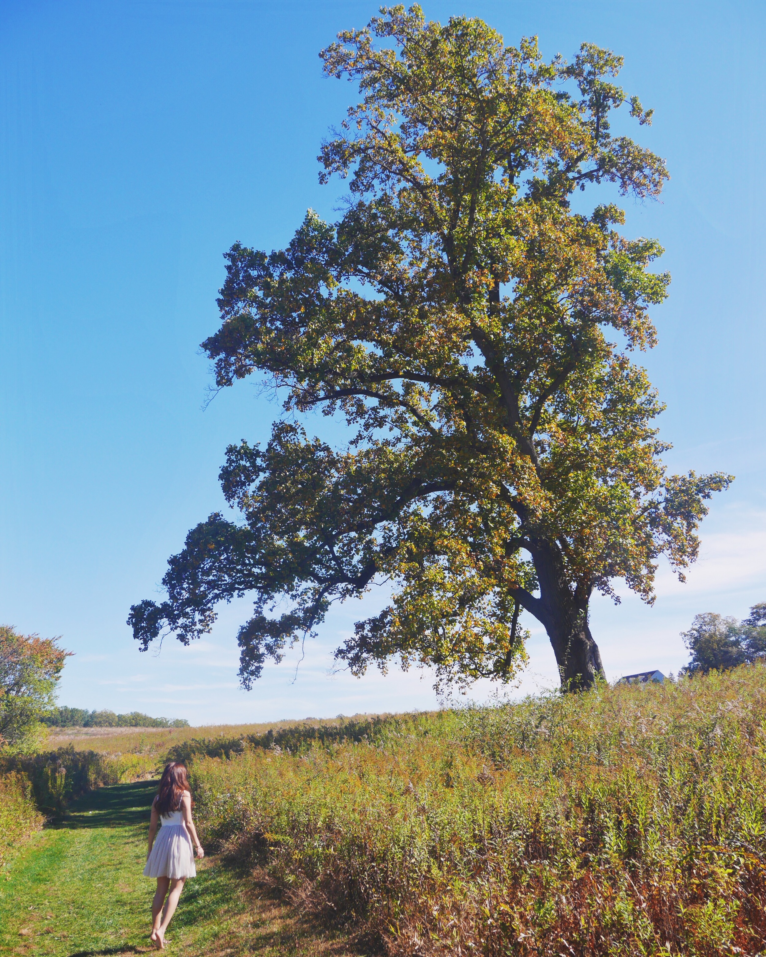 2015 at Philadelphia Longwood Gardens