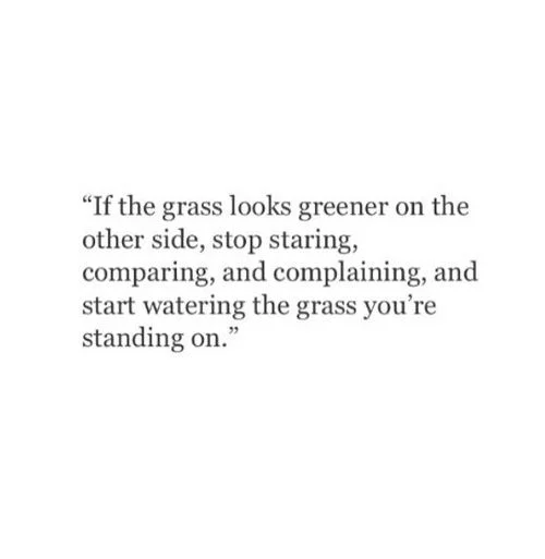grass.jpg