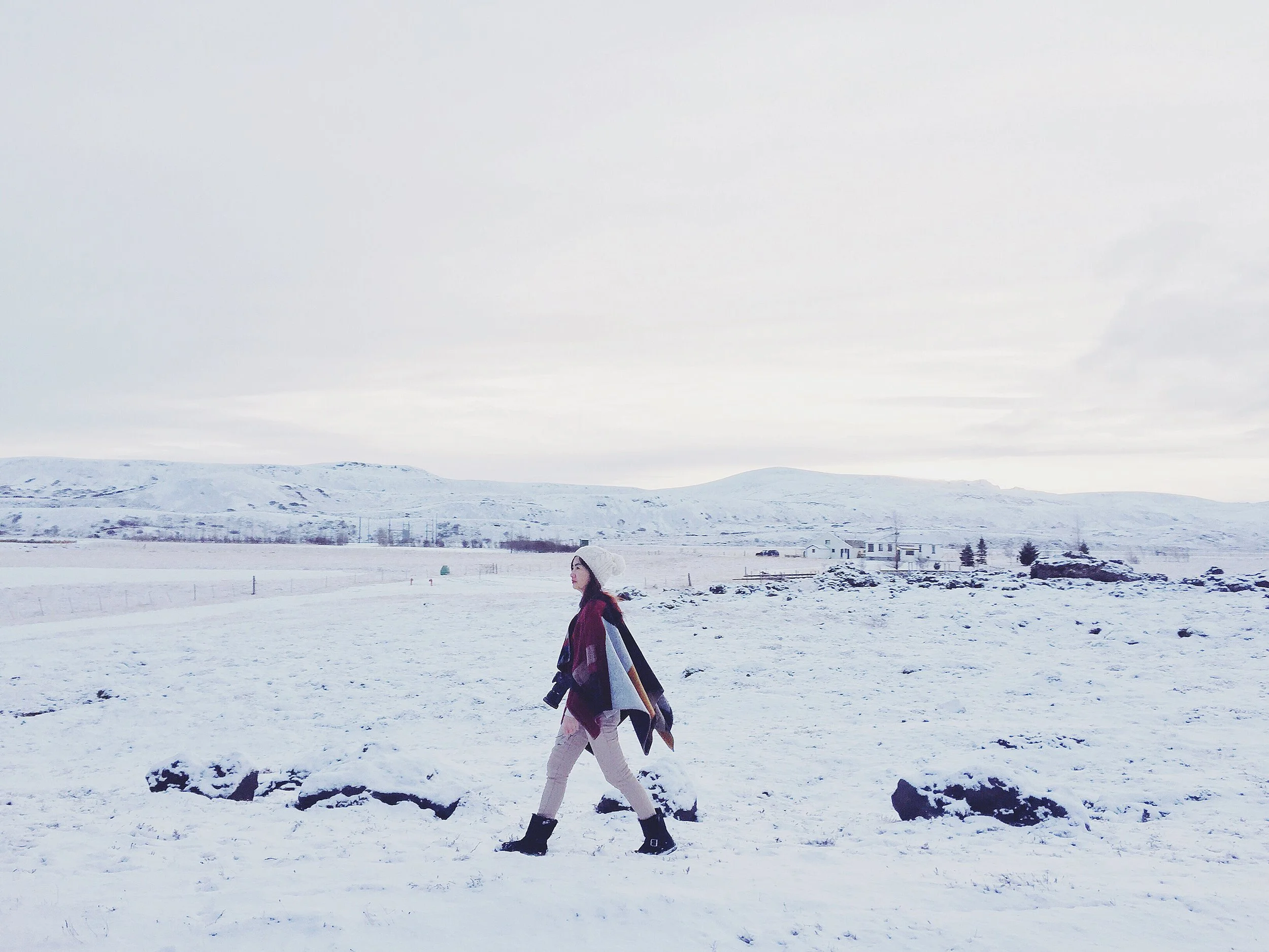 Iceland / Icelandic horses &amp; 極光設計旅館 ION