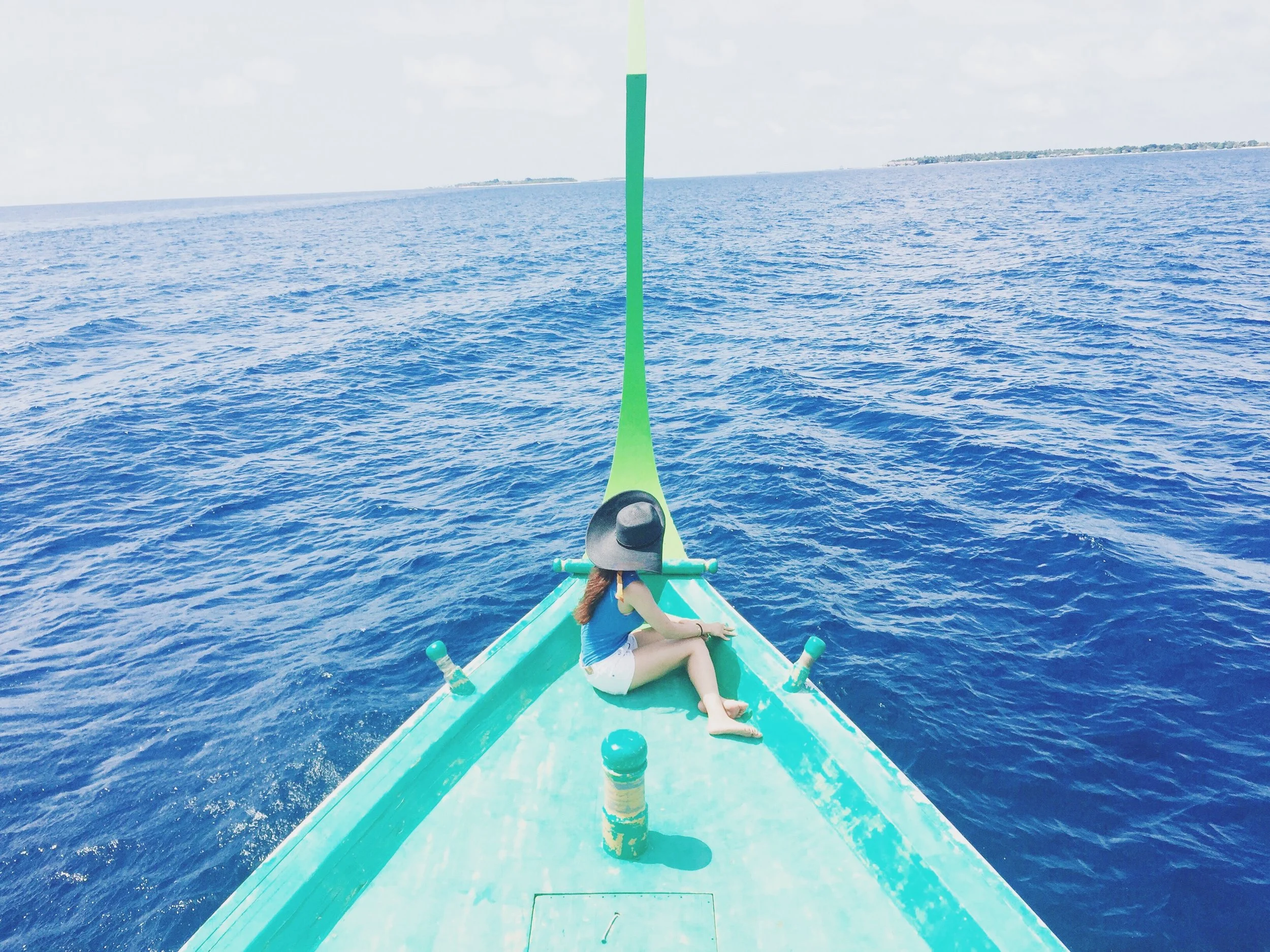 Maldives / 海豚和熱帶魚