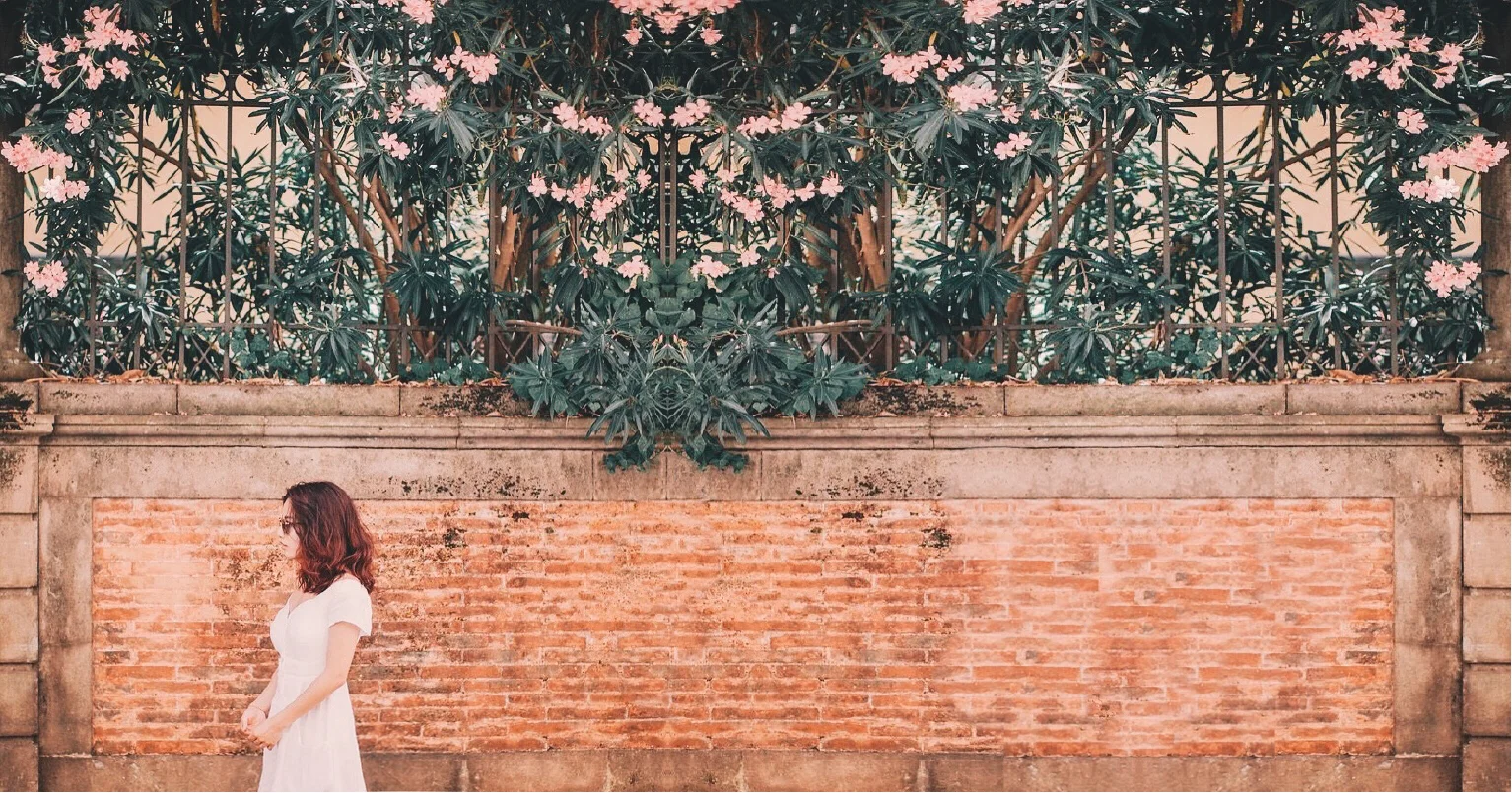 Italy Lucca / 普契尼與我的夏日