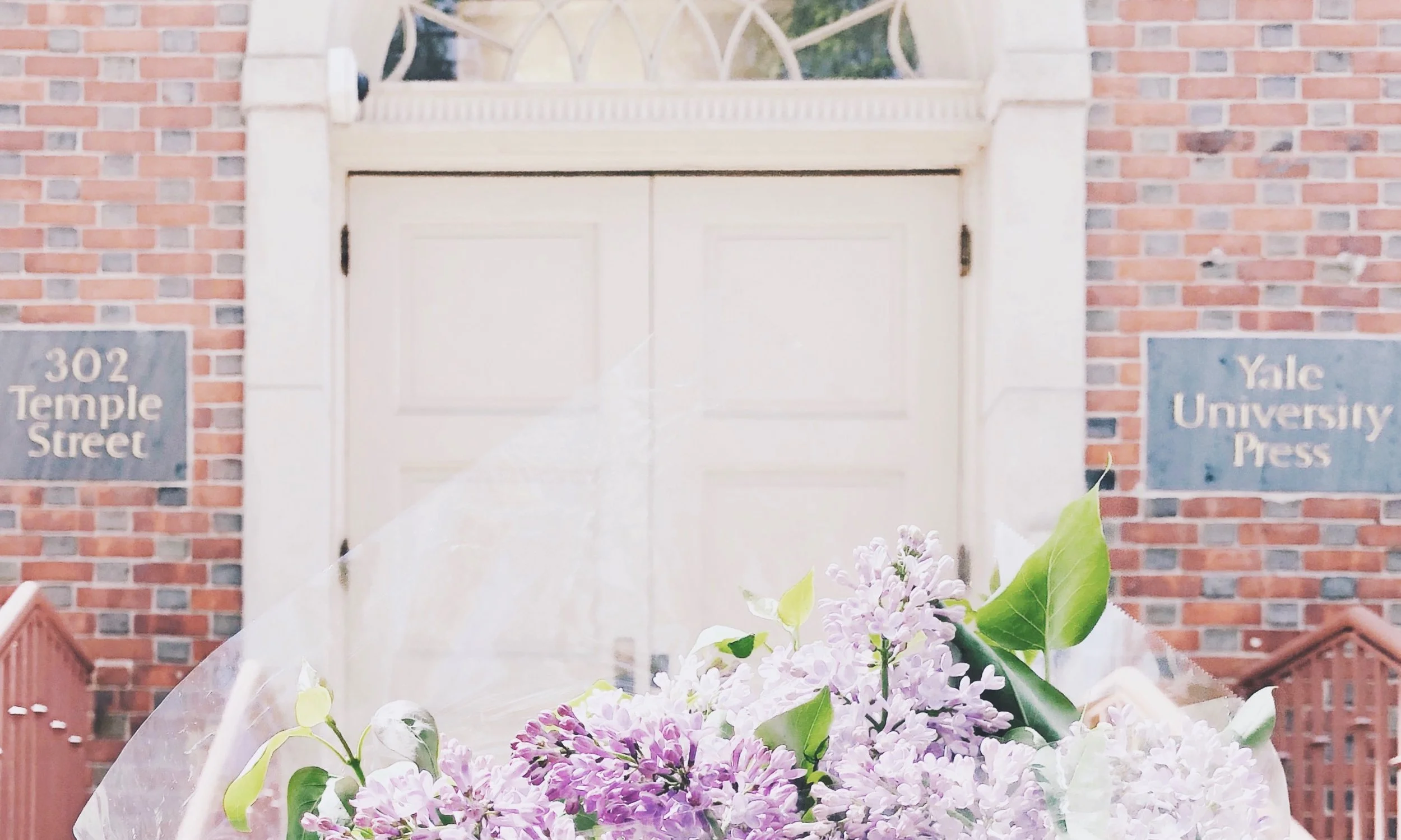 我在耶魯出版社的日子