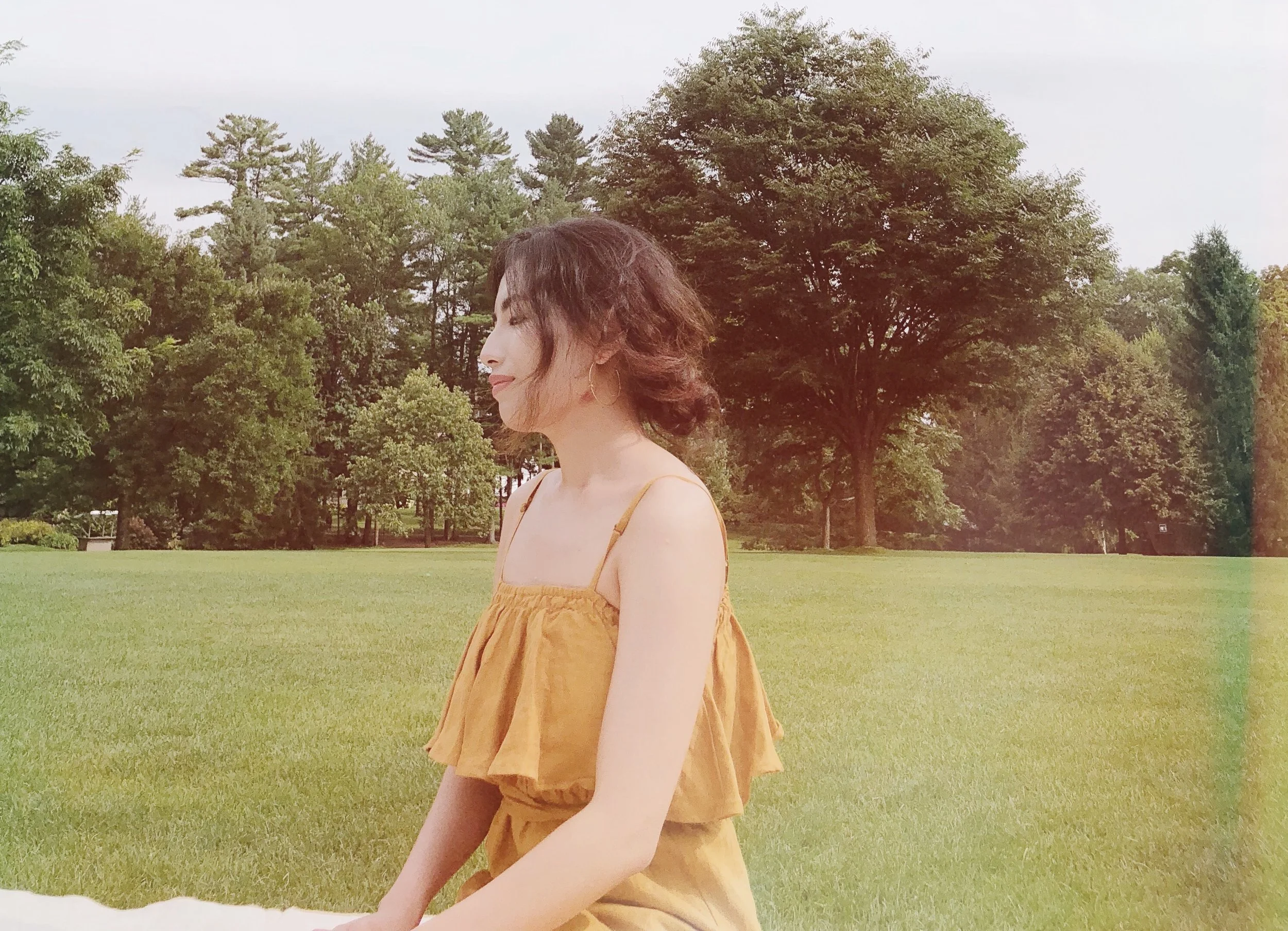 Tanglewood / 伯恩斯坦生日野餐