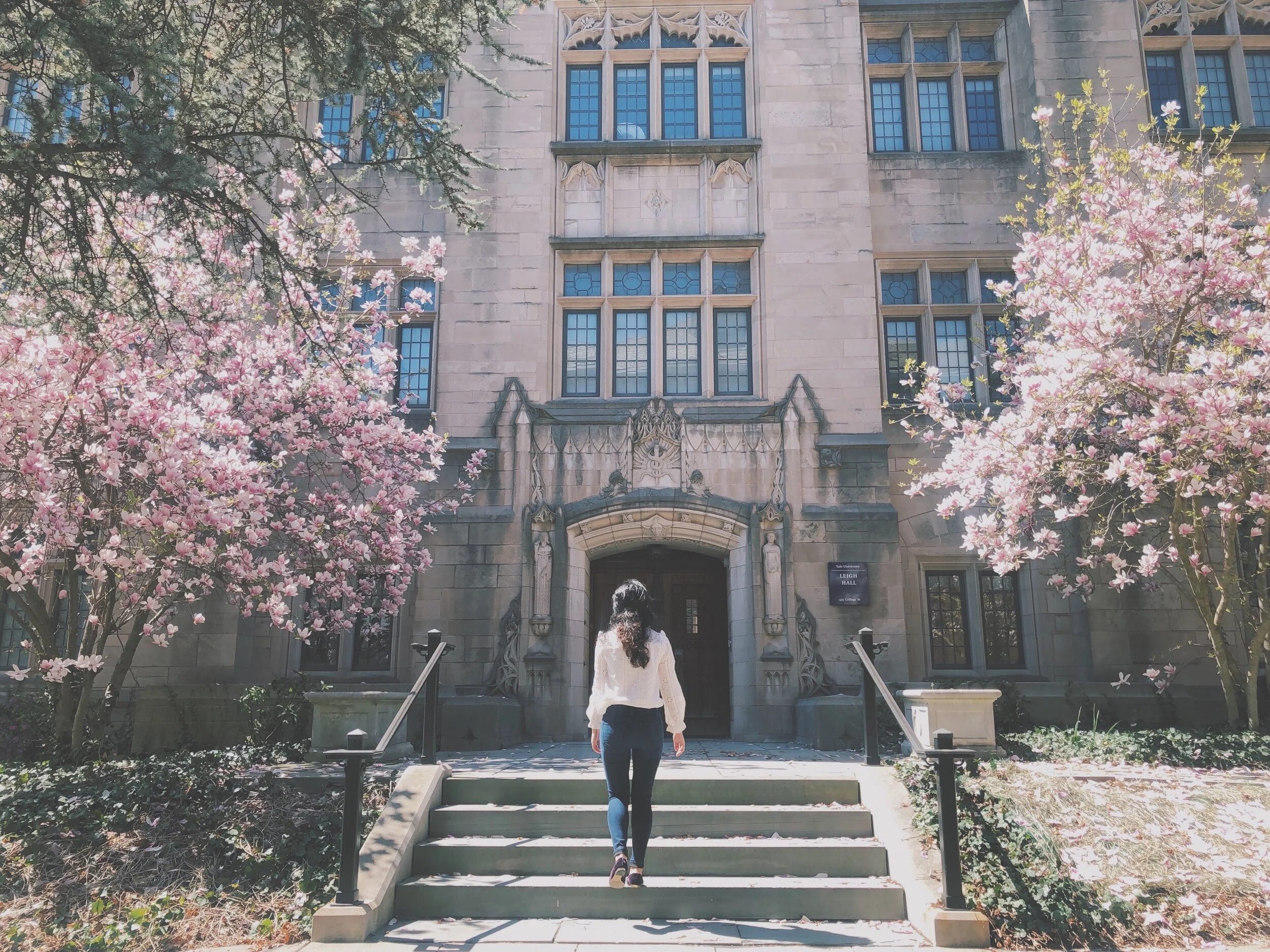 音樂史的朵朵漣漪