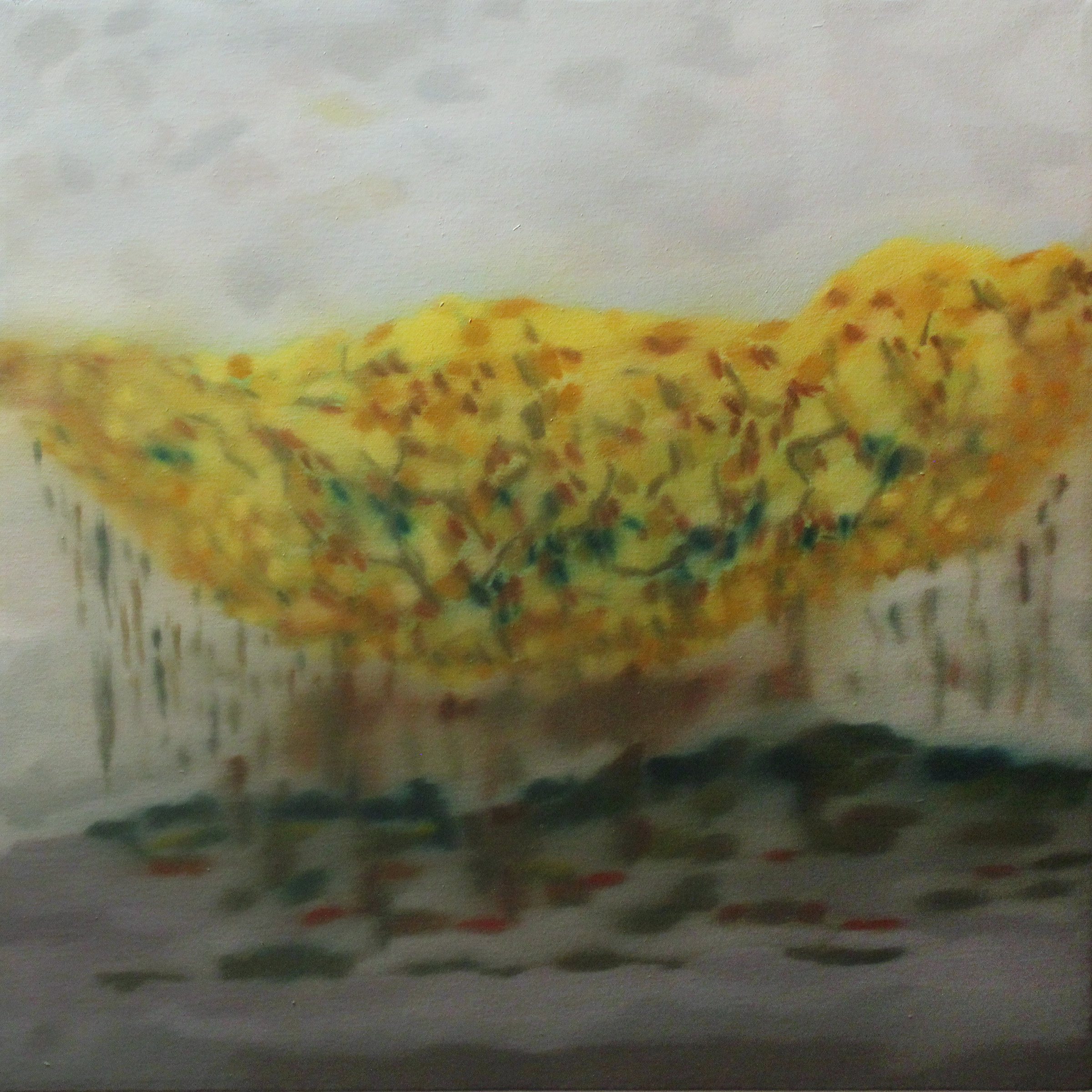 Yellows in the Grays, 2008, 20 x 20", oil on canvas