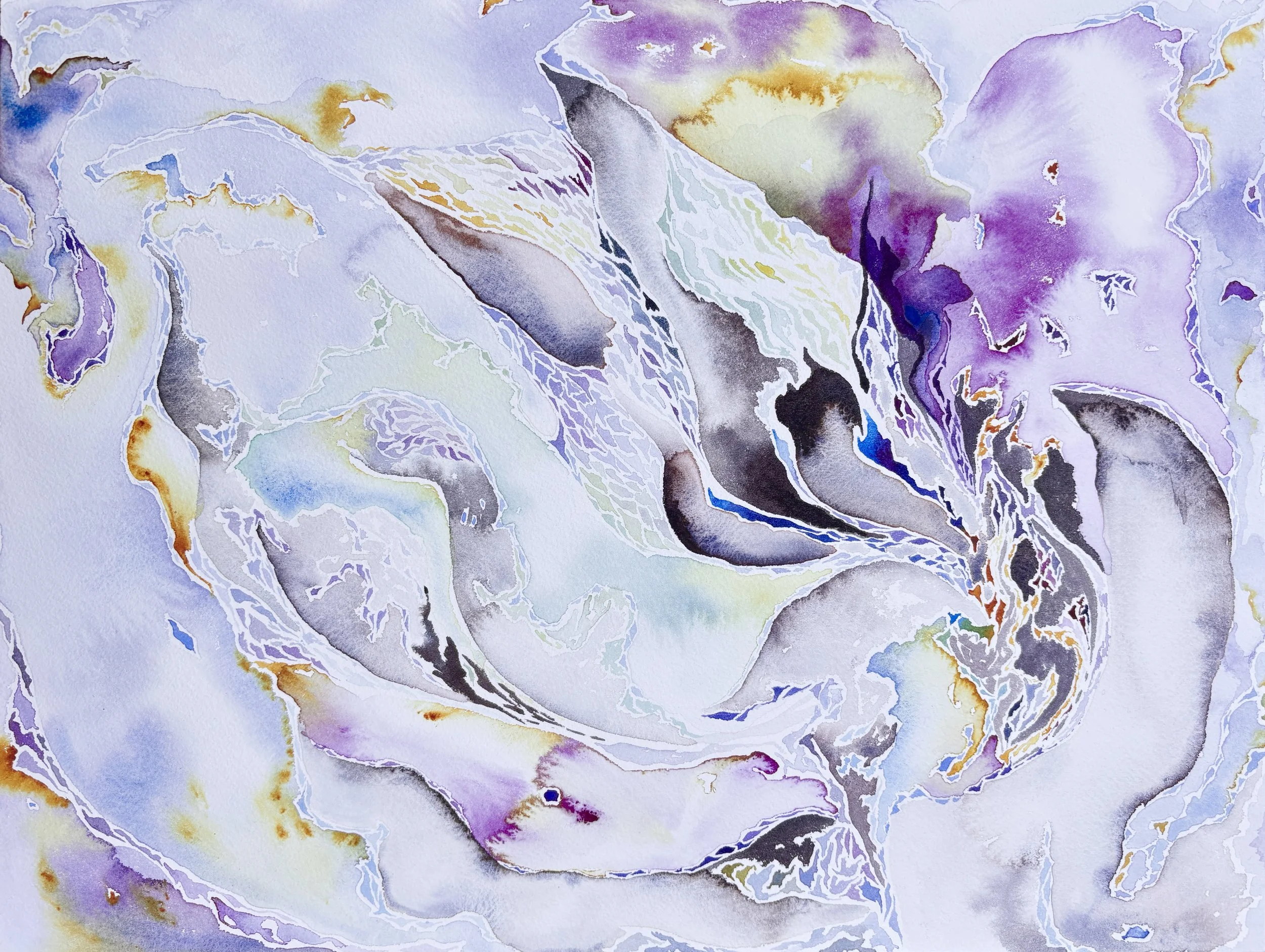 Dripping Dream Fractals