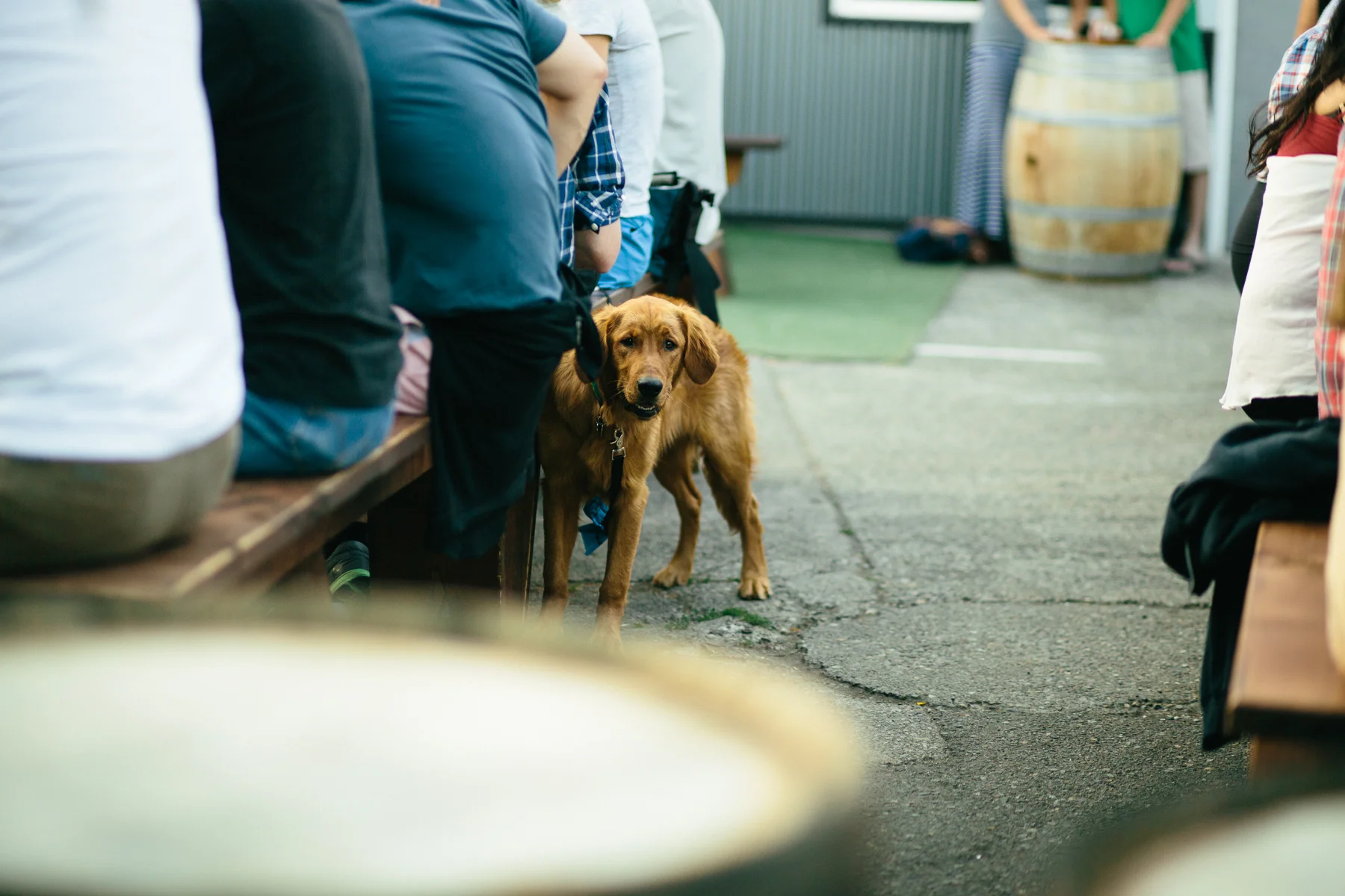 Fremont Brewing Co.-247.jpg