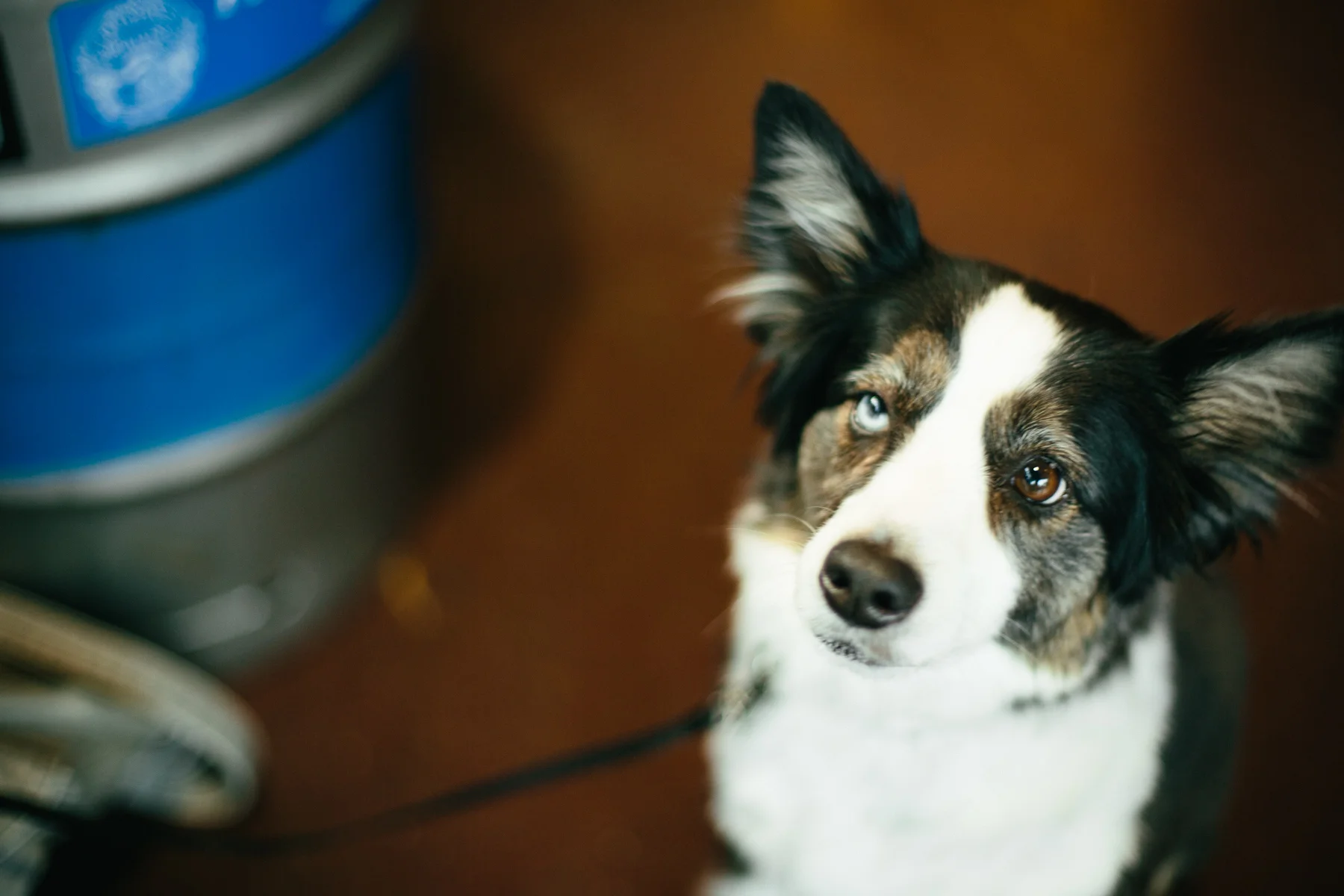 Fremont Brewing Co.-278.jpg