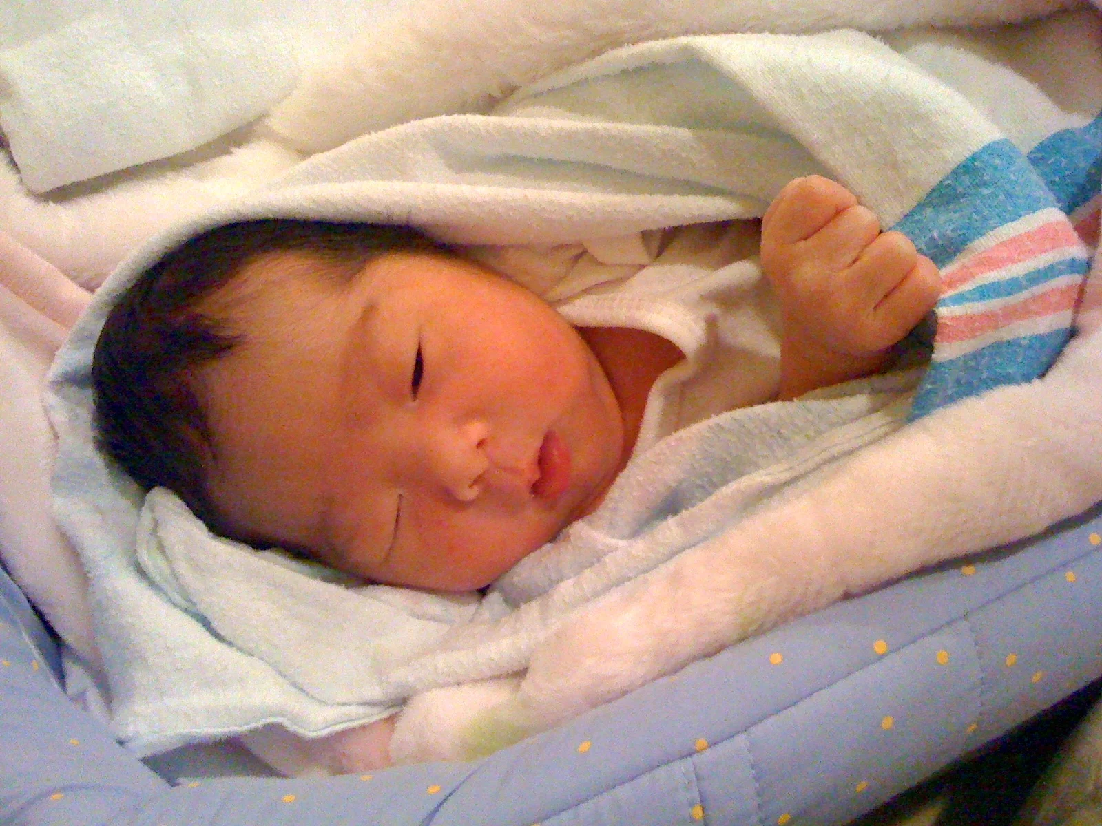 Yuna, one day old
