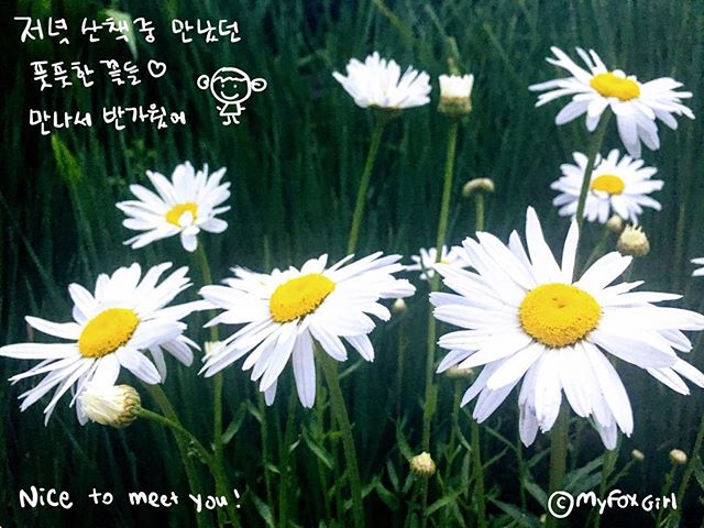 Nice to meet you! #pretty