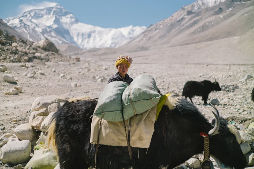 Base Camp - Leica M240