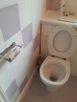 A common scene. Please note that all ghastly spillages have been removed from this photo to prevent causing any offense to my readers.