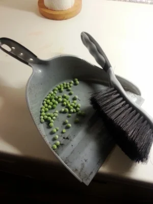 The Petit pois that travelled far.