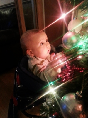 His passion for baubles started some time ago. It's only now that he grown teeth that he has been able to take his passion to the next level.