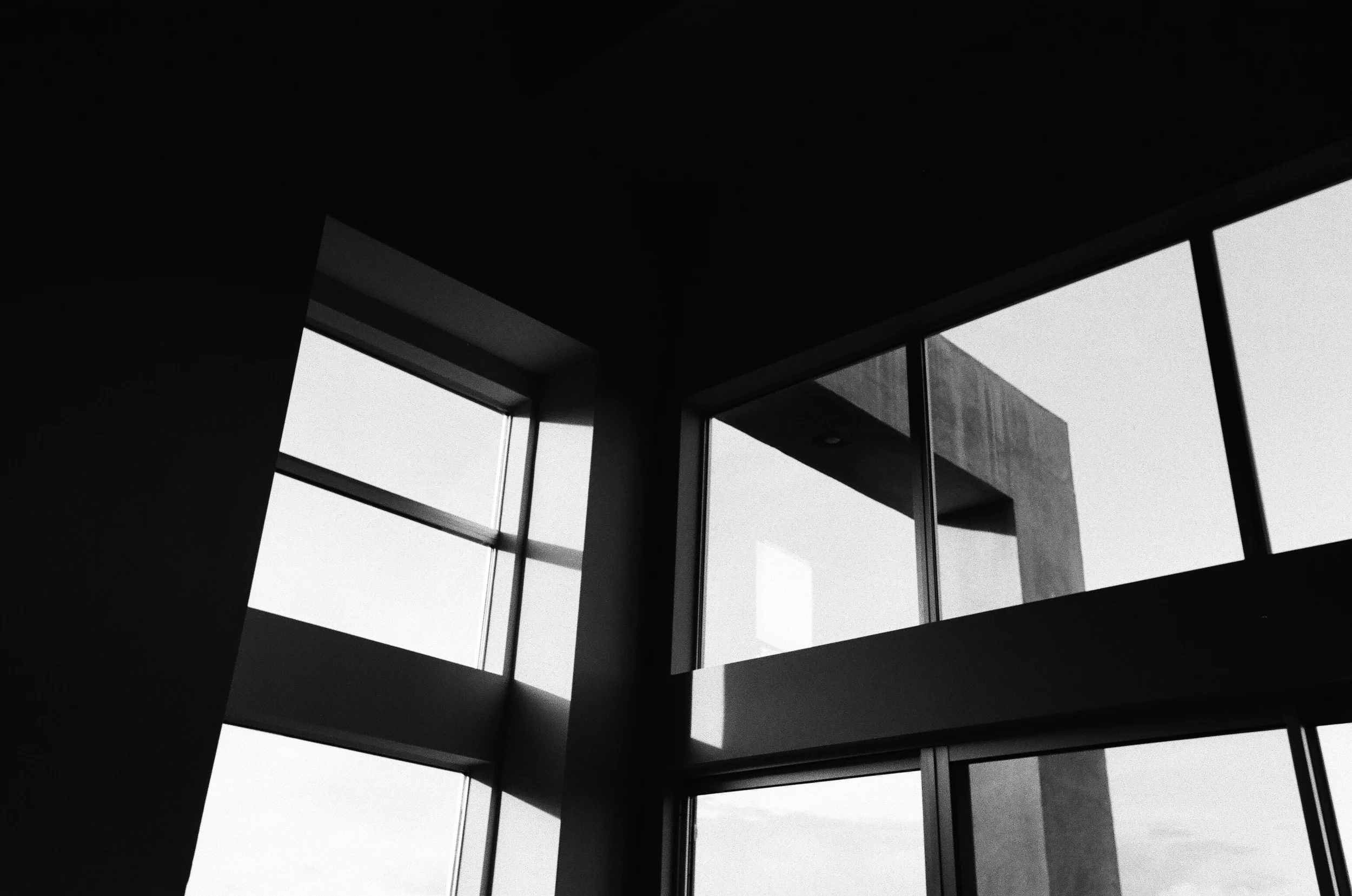 cameliamanea-home-windows-bw.jpg