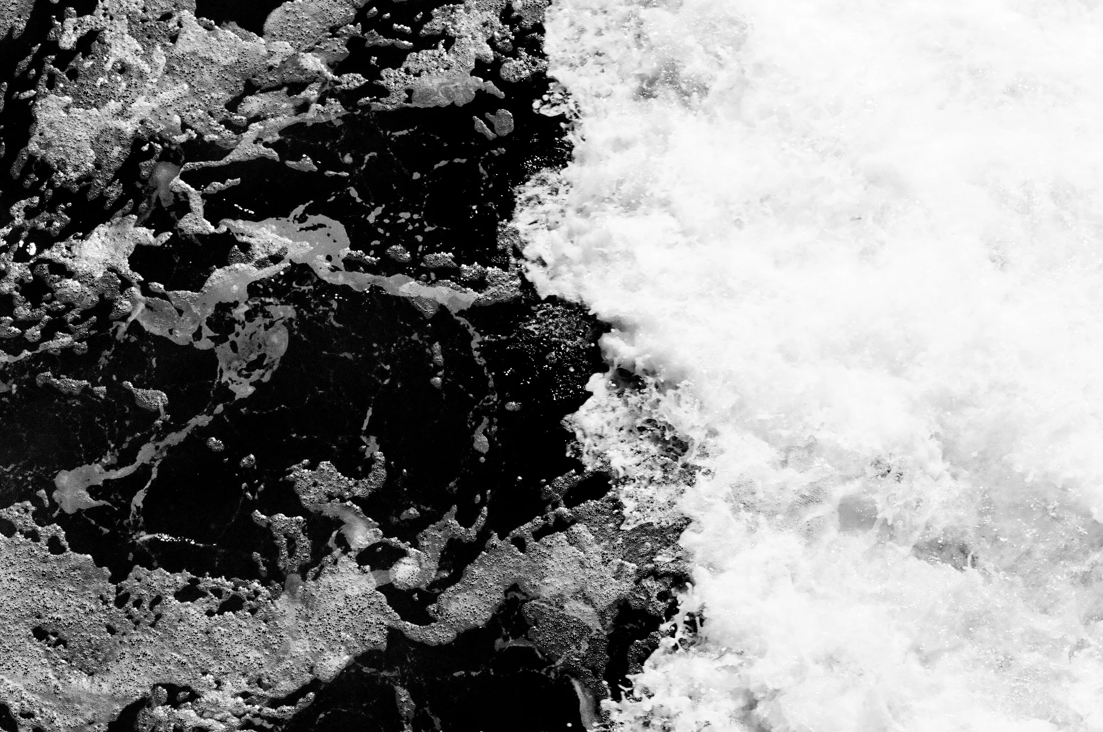 waves-film-2-bw-cameliamanea.jpg