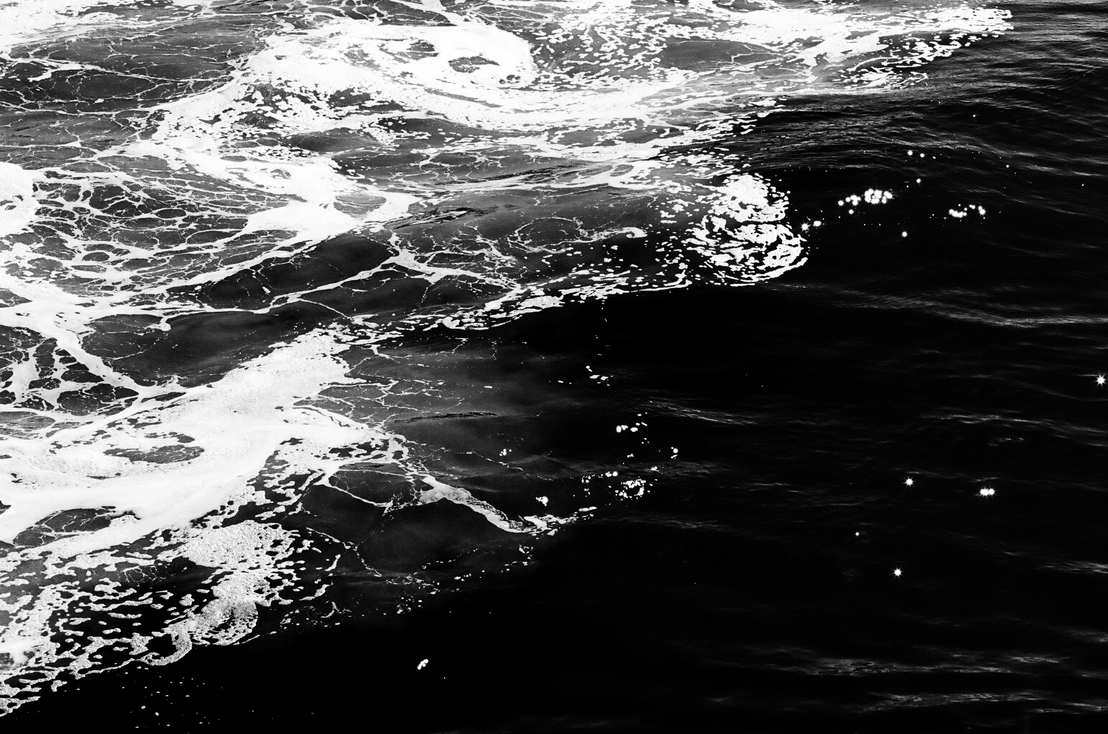 waves-film-bw-cameliamanea.jpg