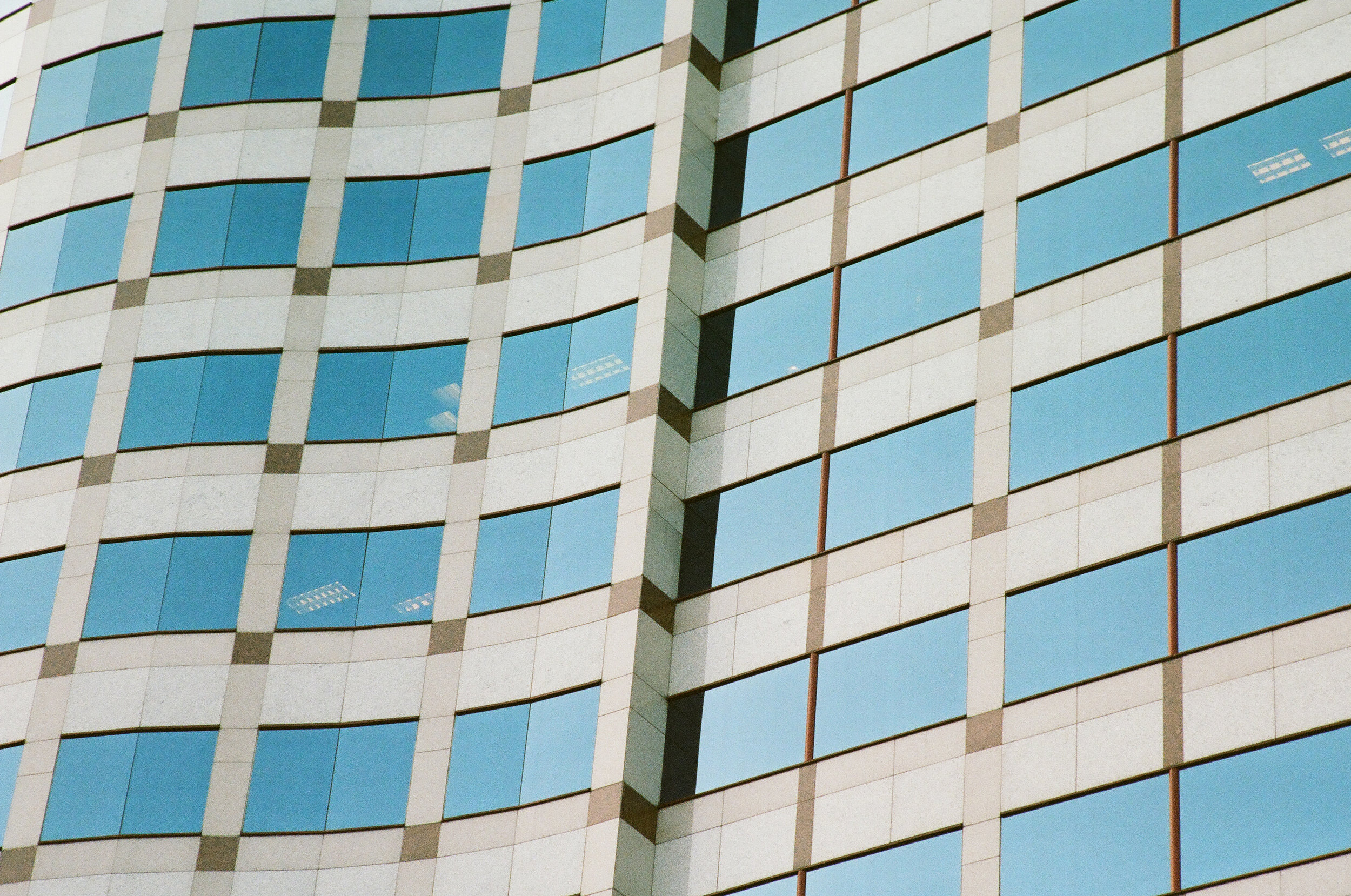 architecture-windows-portland-cameliamanea.jpg